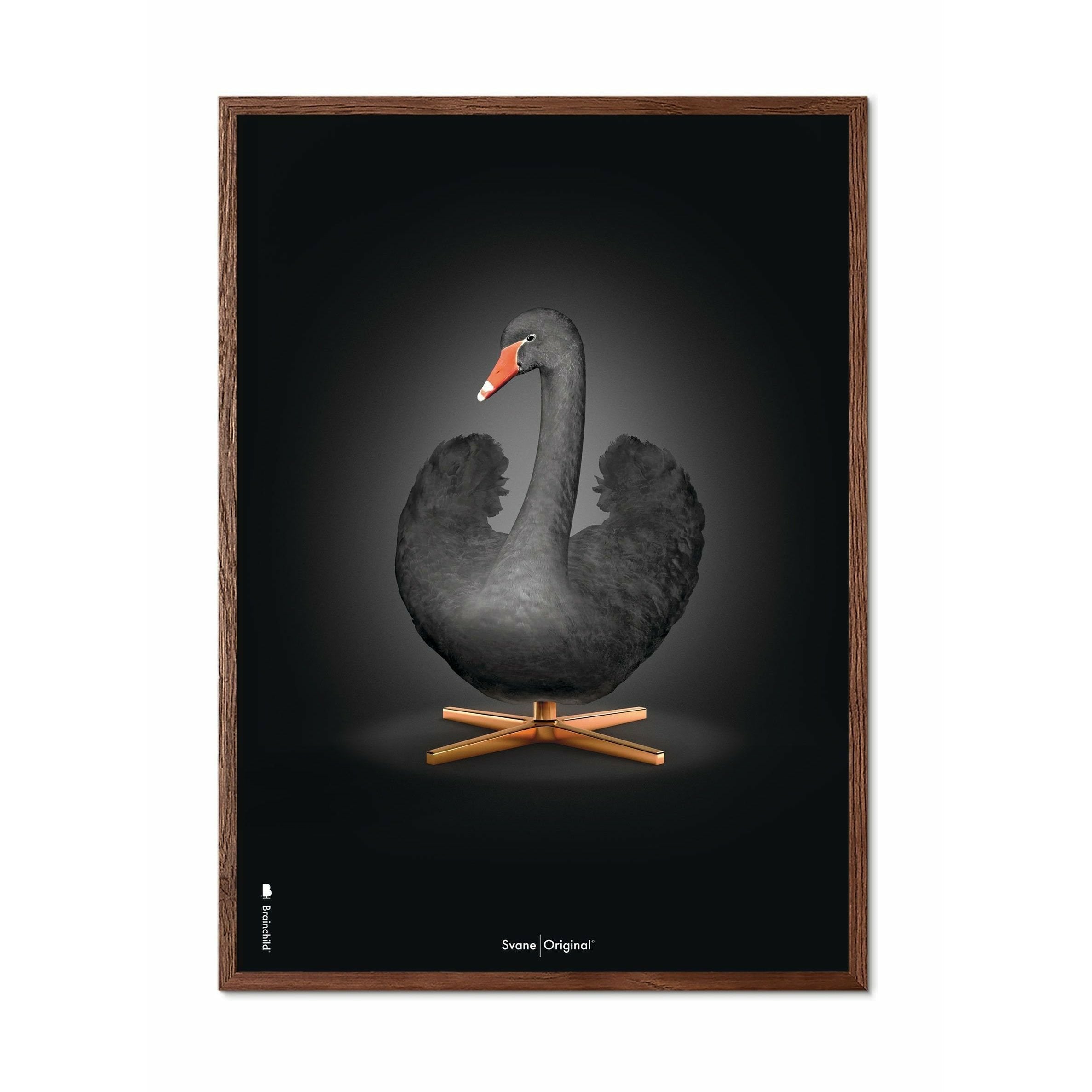 [product_category]-Brainchild Swan Classic Poster, Dark Wood Frame 70 X100 Cm, Black/Black Background-Brainchild-31004-B-BRA-1