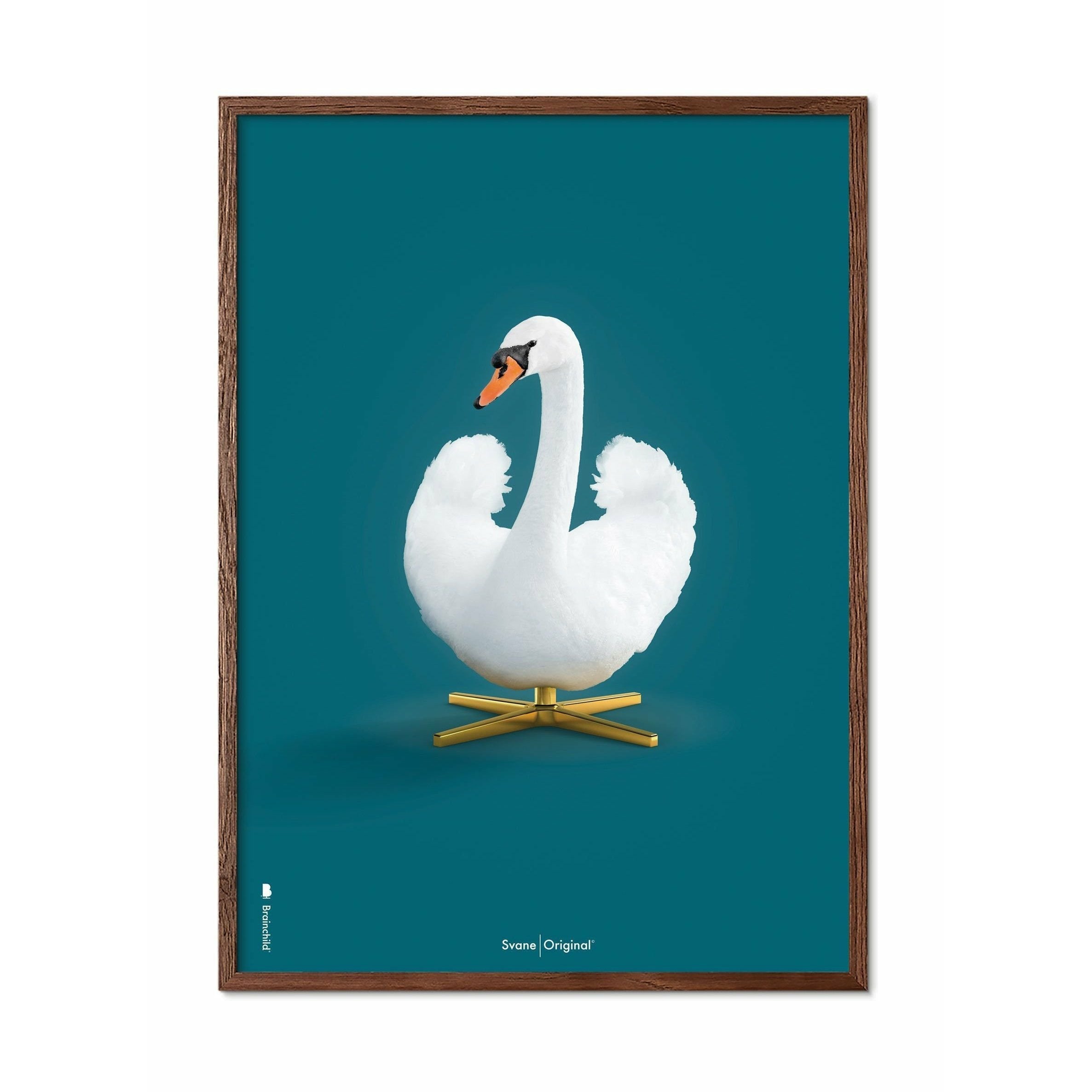 Pôster clássico da criação de cisne, moldura de madeira escura 70x100 cm, fundo azul de petróleo