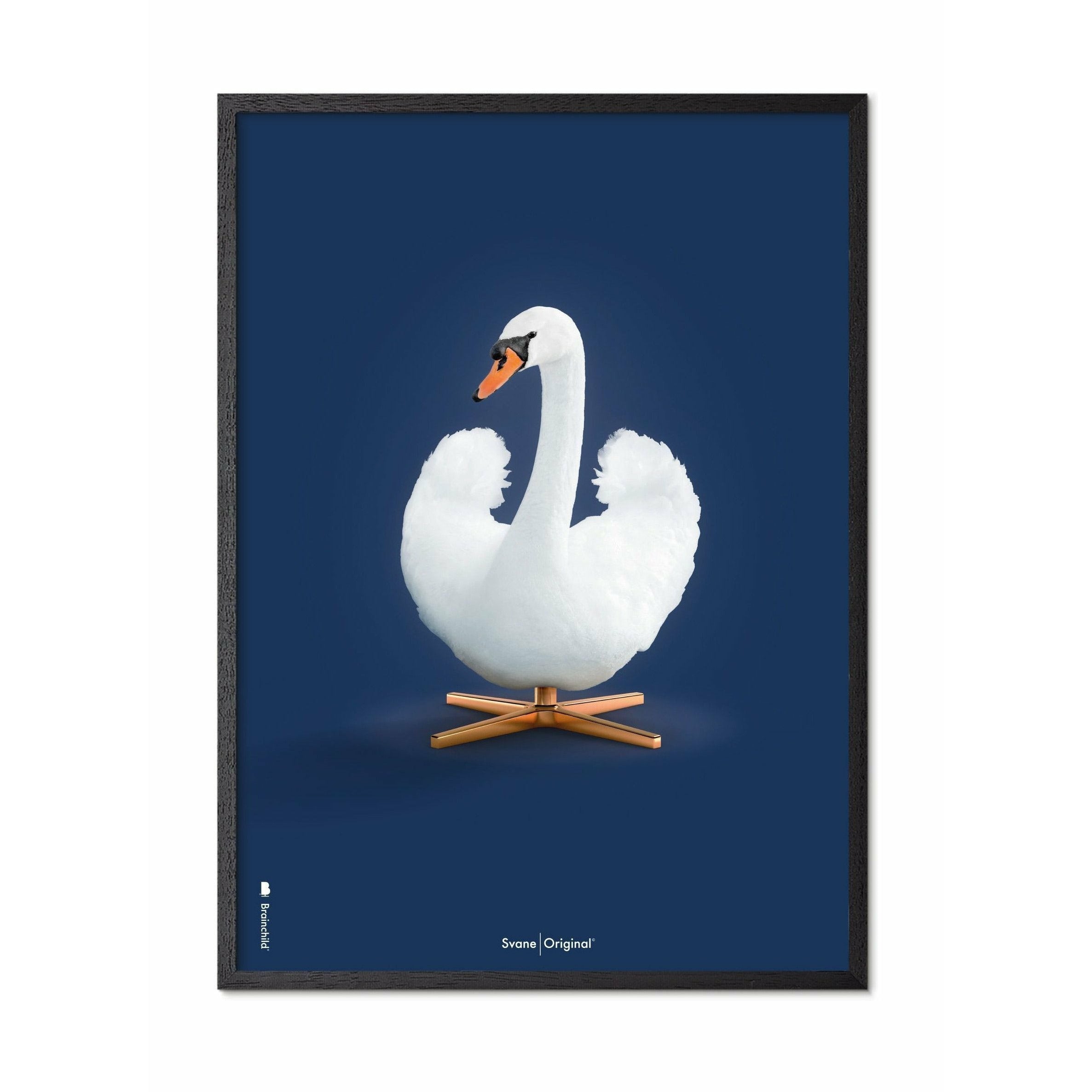 [product_category]-Brainchild Swan Classic Poster, Frame In Black Lacquered Wood 30x40 Cm, Dark Blue Background-Brainchild-35002-C-BRA-1
