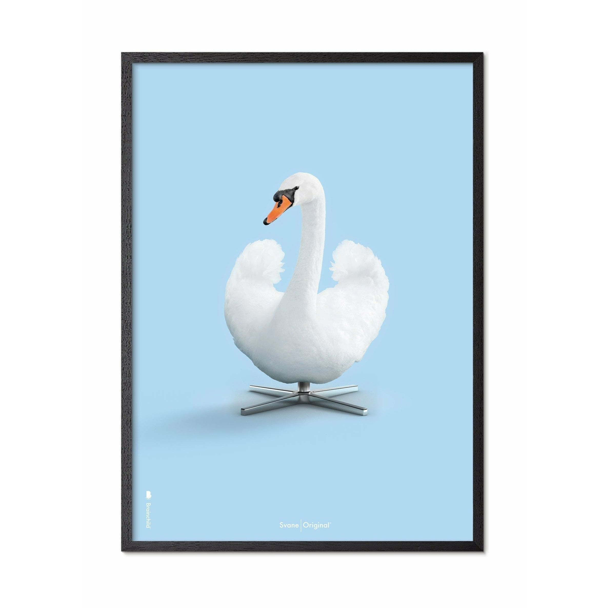 Brainchild Swan Classic Poster, Frame In Black Lacquered Wood 50x70 Cm, Light Blue Background