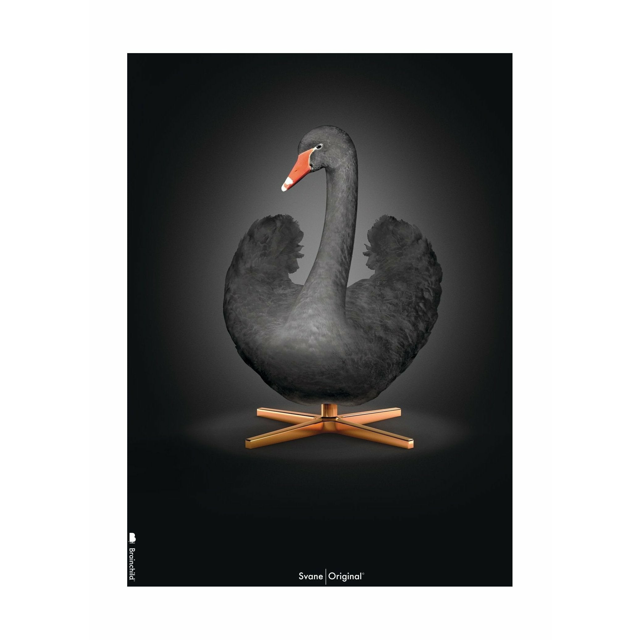 [product_category]-Brainchild Swan Classic Poster Without Frame 30 X40 Cm, Black/Black Background-Brainchild-31002-BRA-1