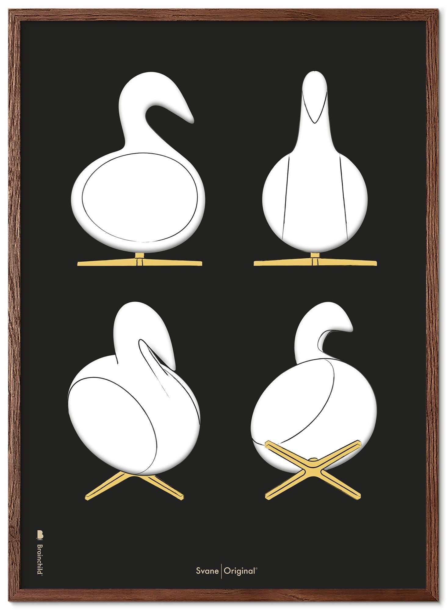 Swan Swan Croquis du cadre d'affiches en bois foncé 70x100 cm, fond noir