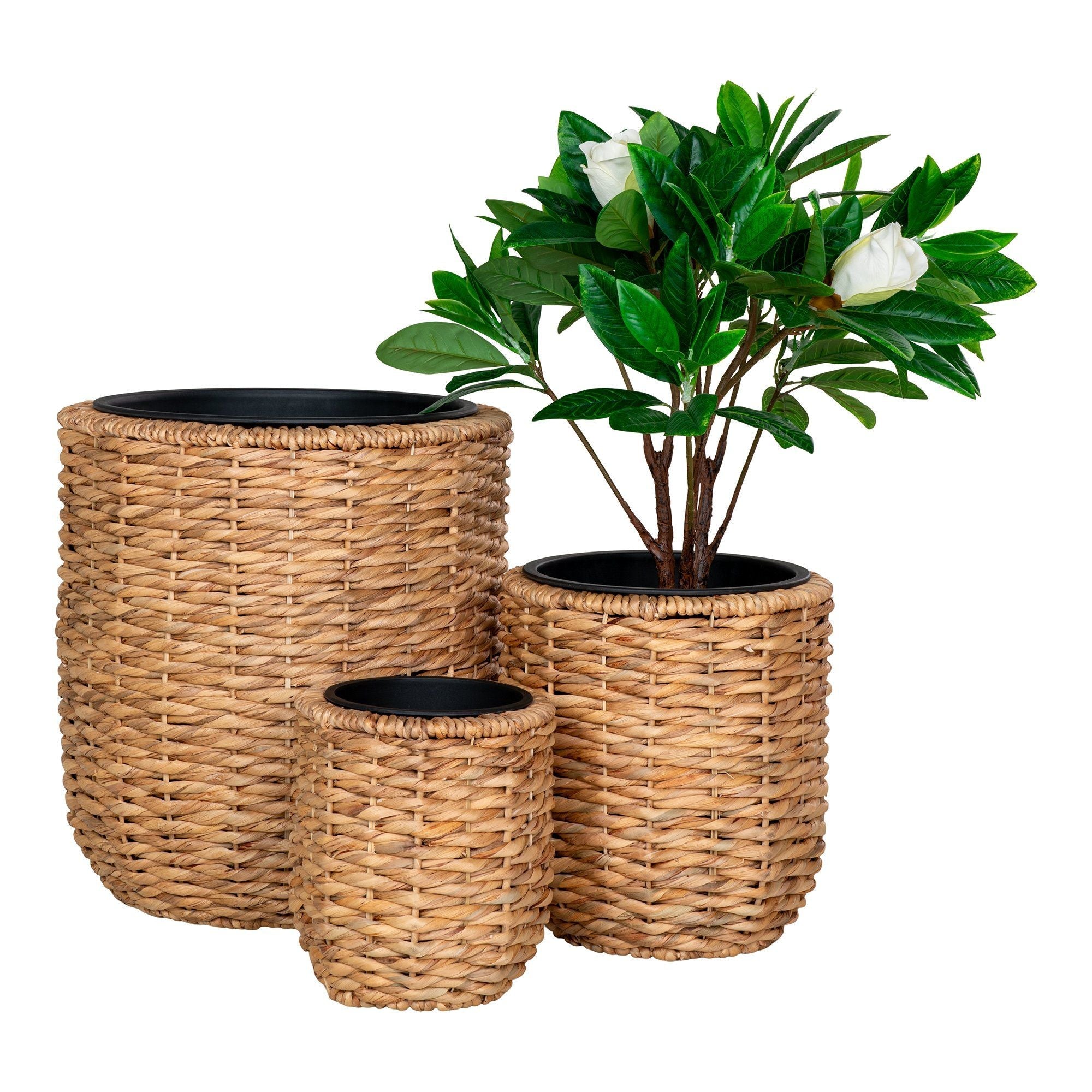 Huis -Noordse Hanoi Planter