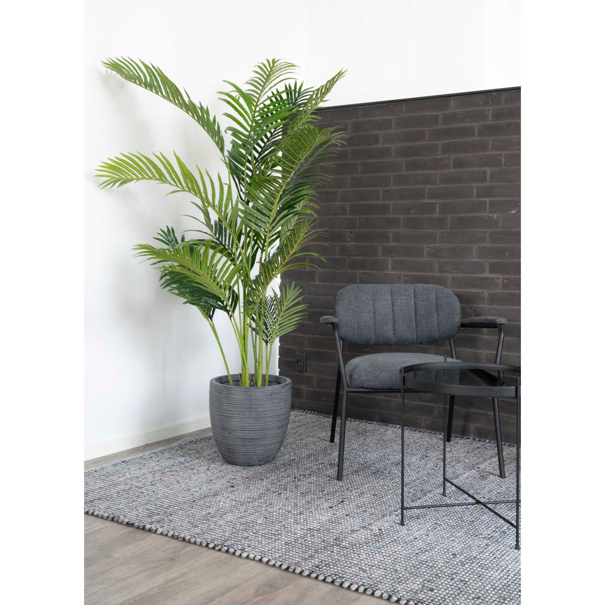 Hus Nordic Areca Palm