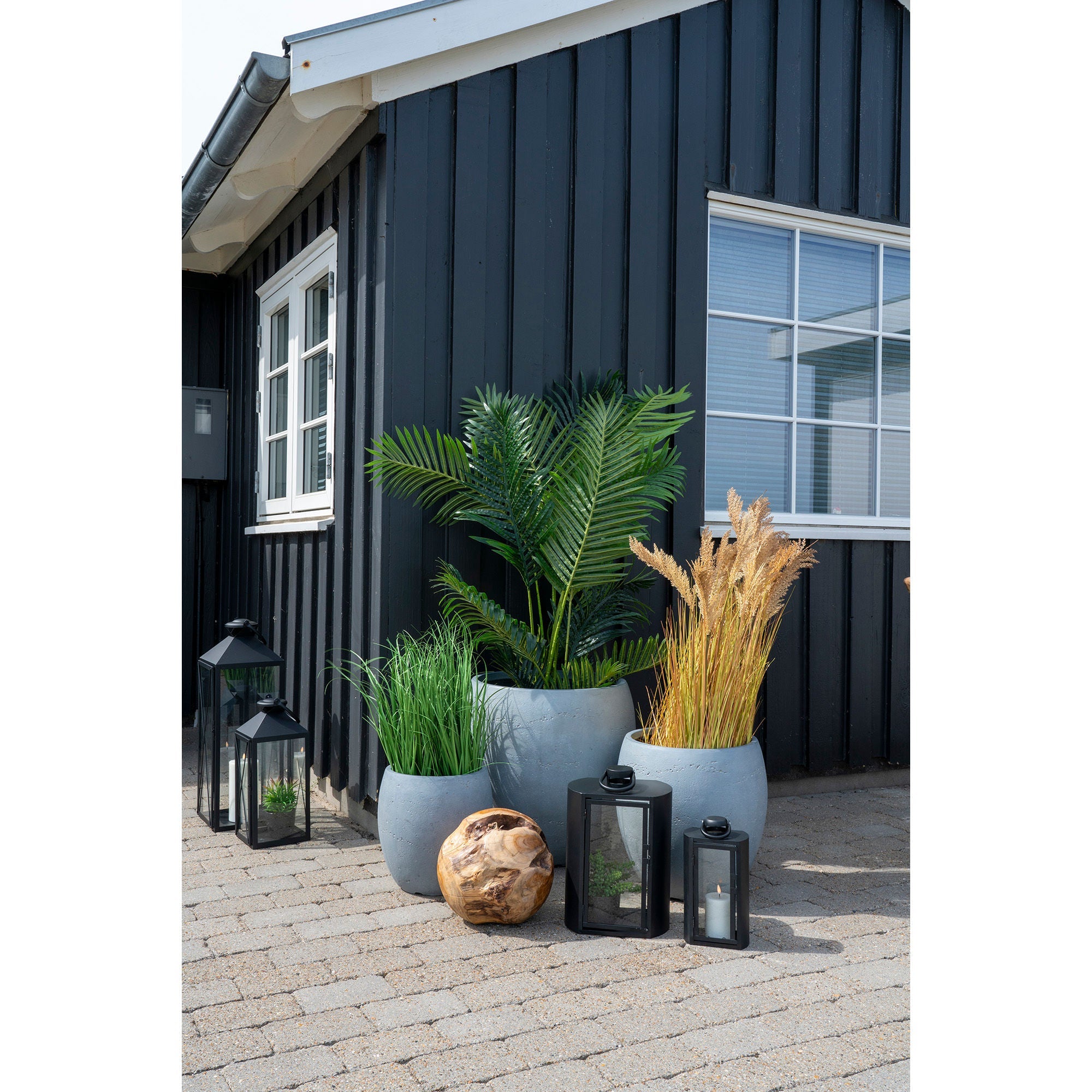 Haus nordischer Areca Palm