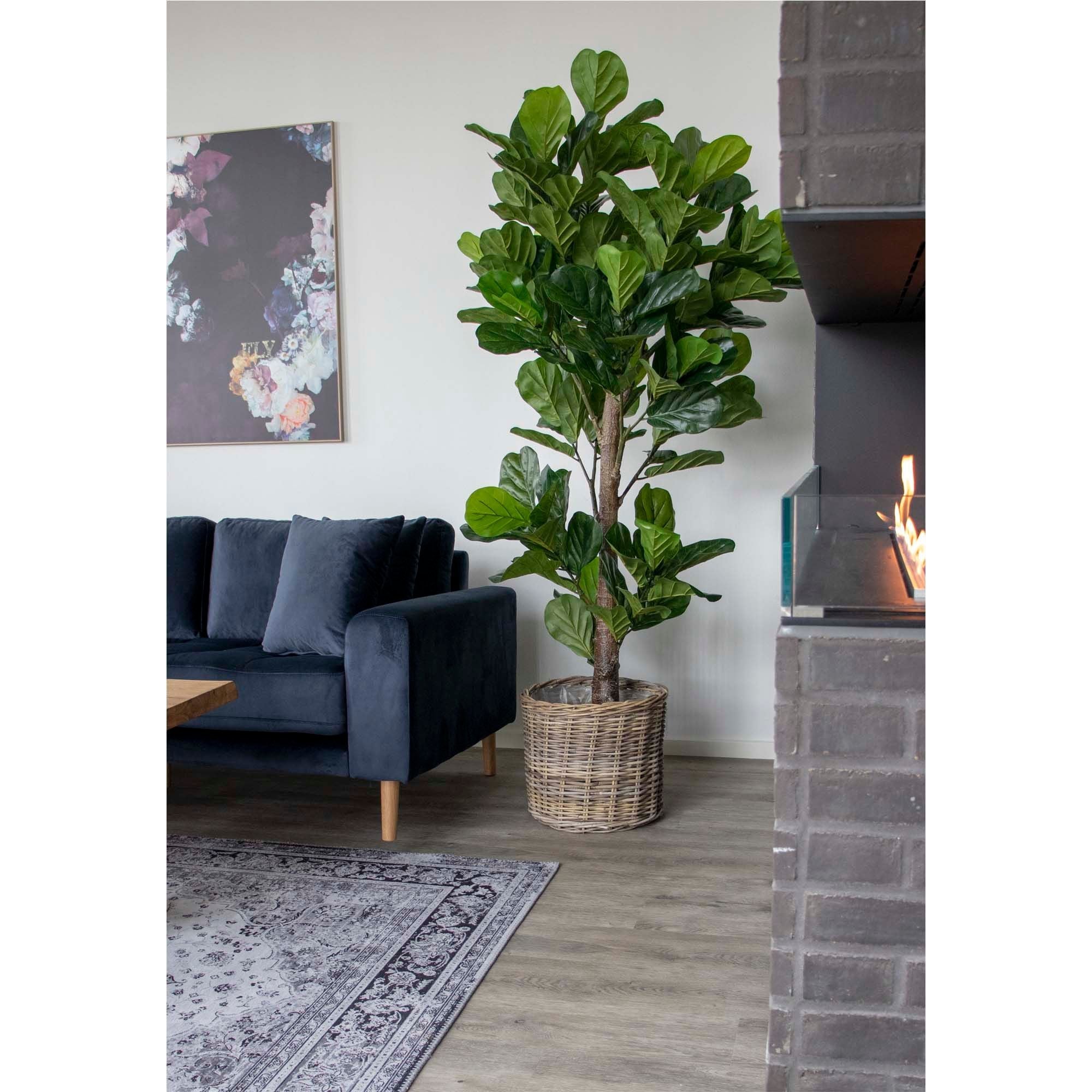 House Nordic Fiddle Leaf Tree