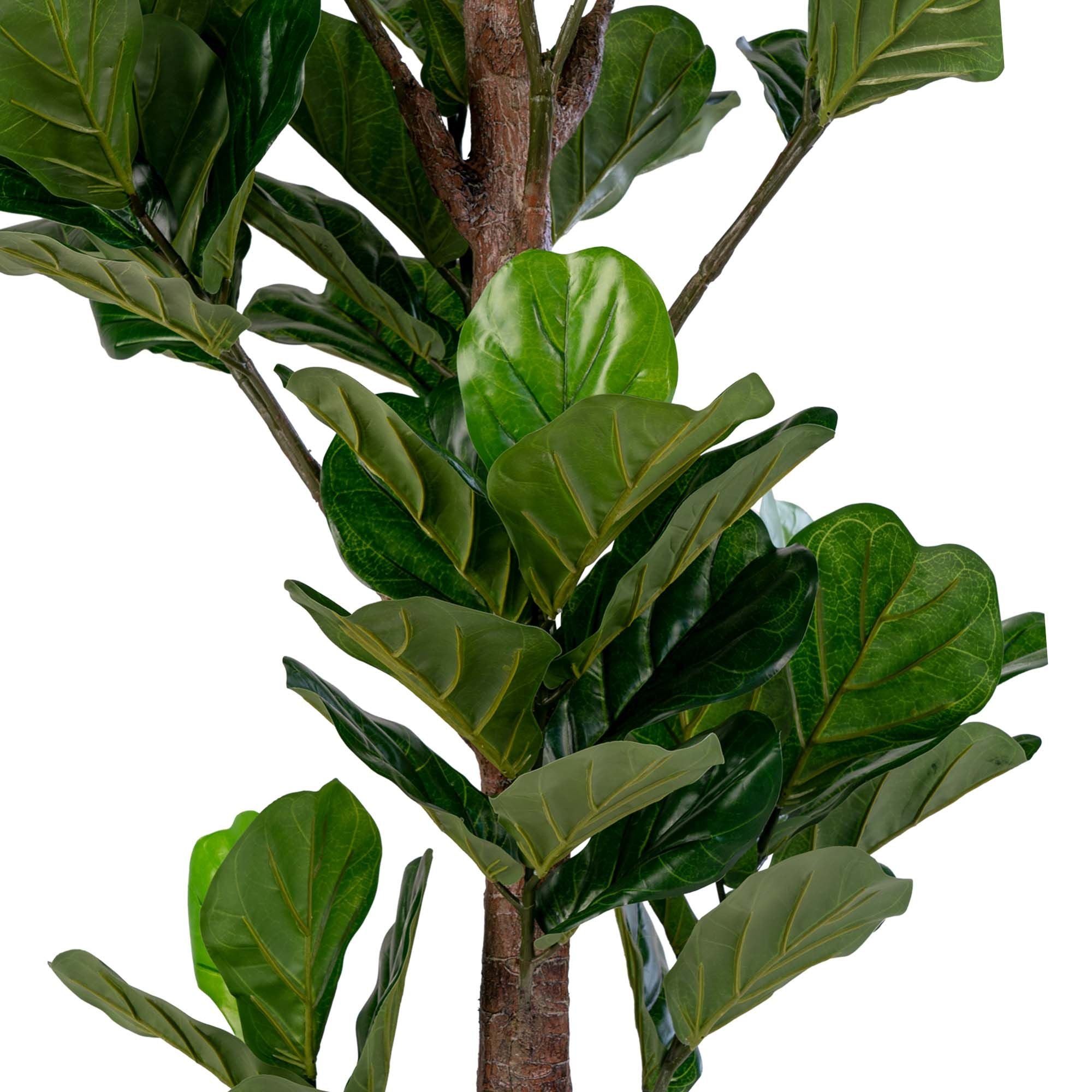 Huset Nordic Fiddle Leaf Tree