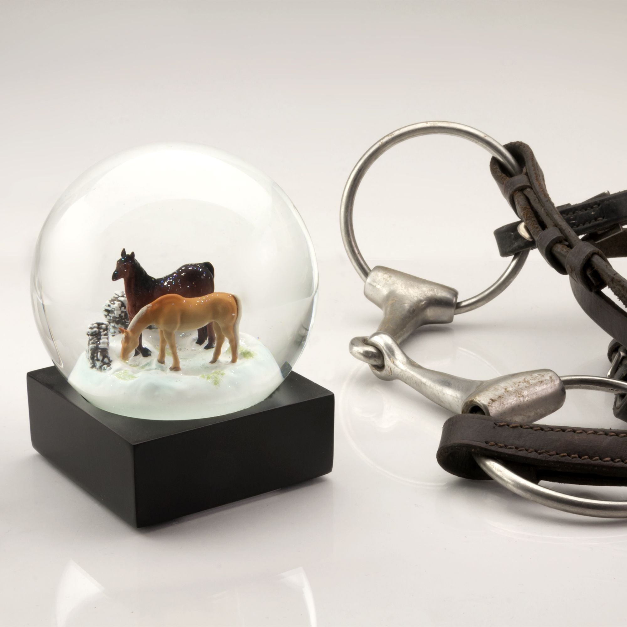 Cool Snow Globes heste