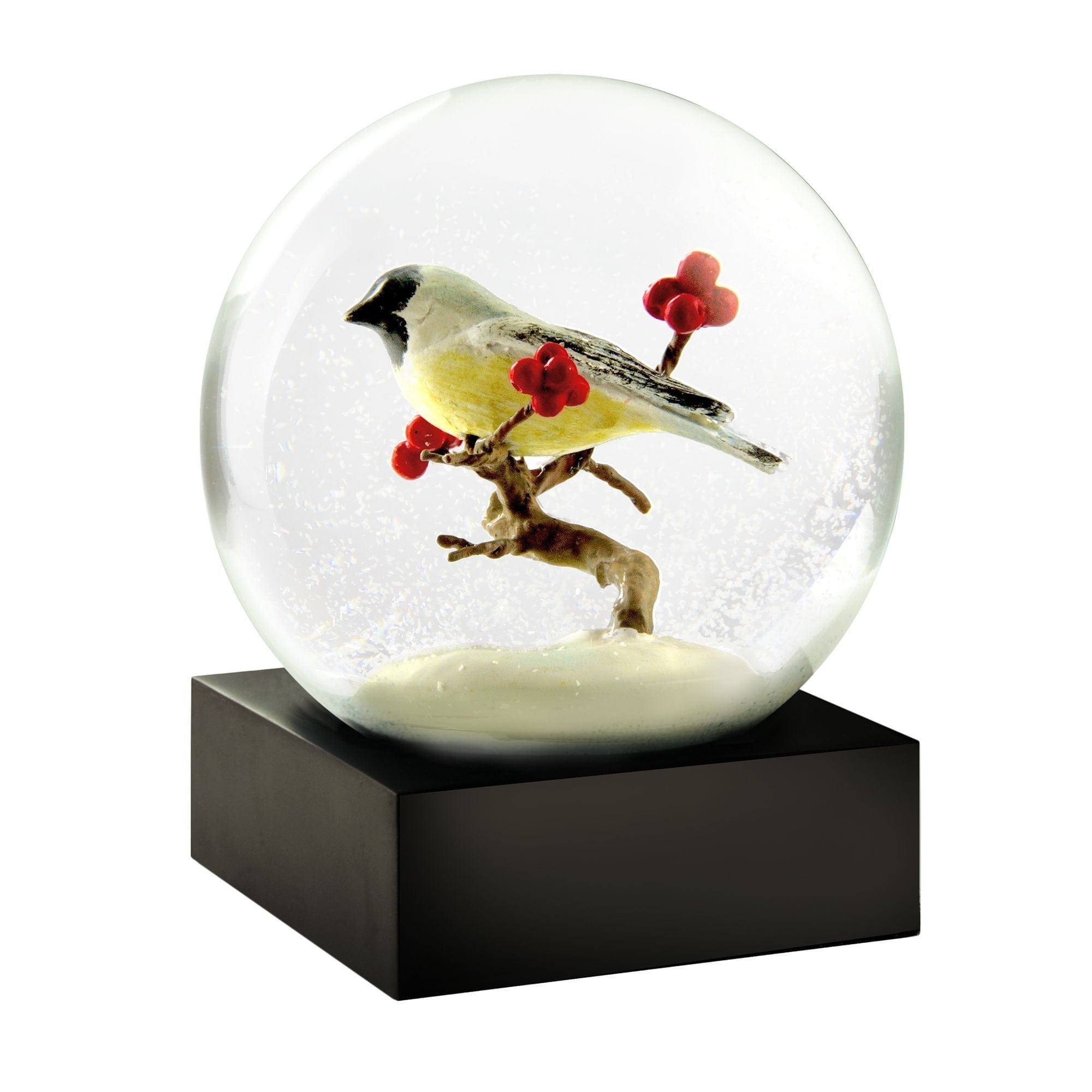 Cool Snow Globes