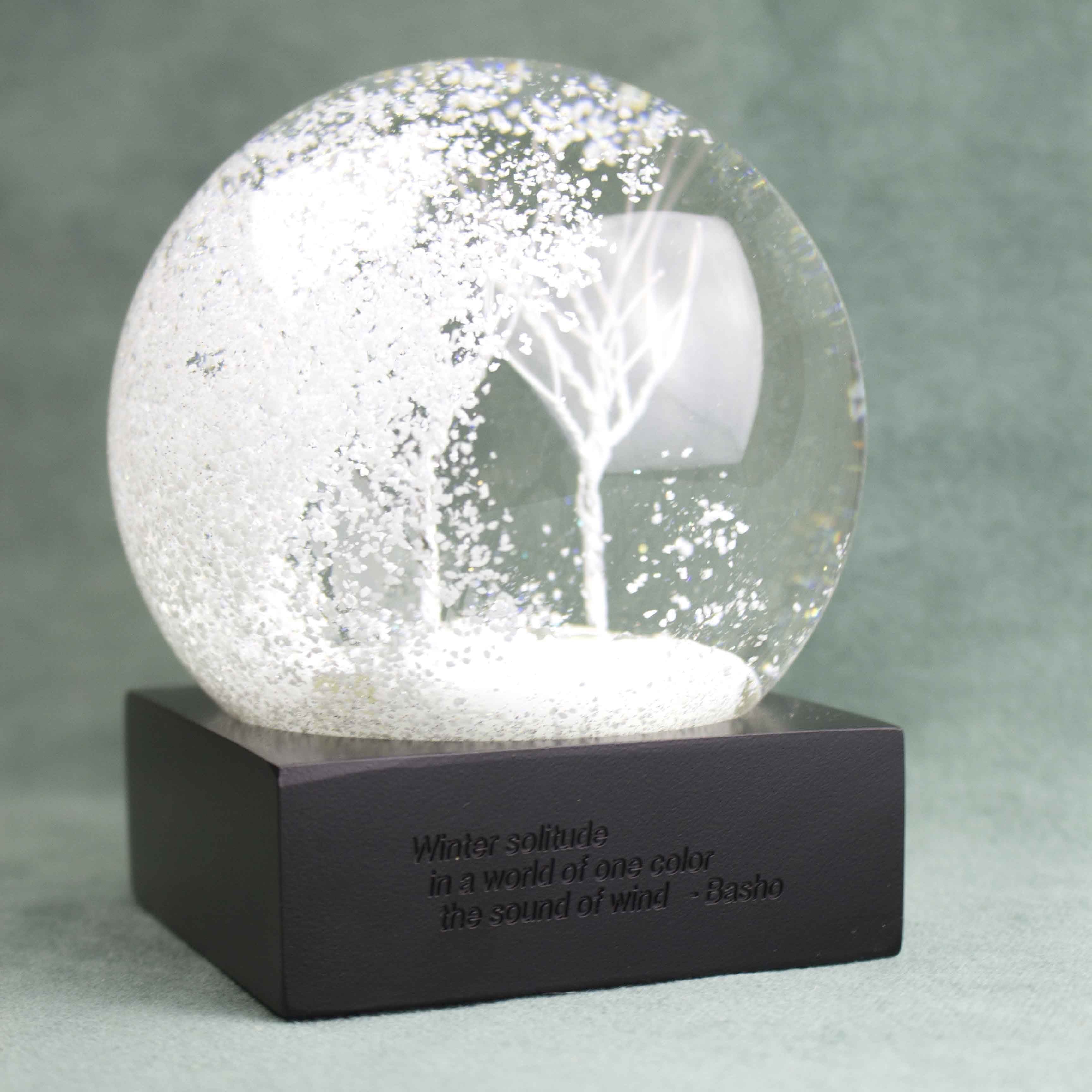 Cool Snow Globes vinter