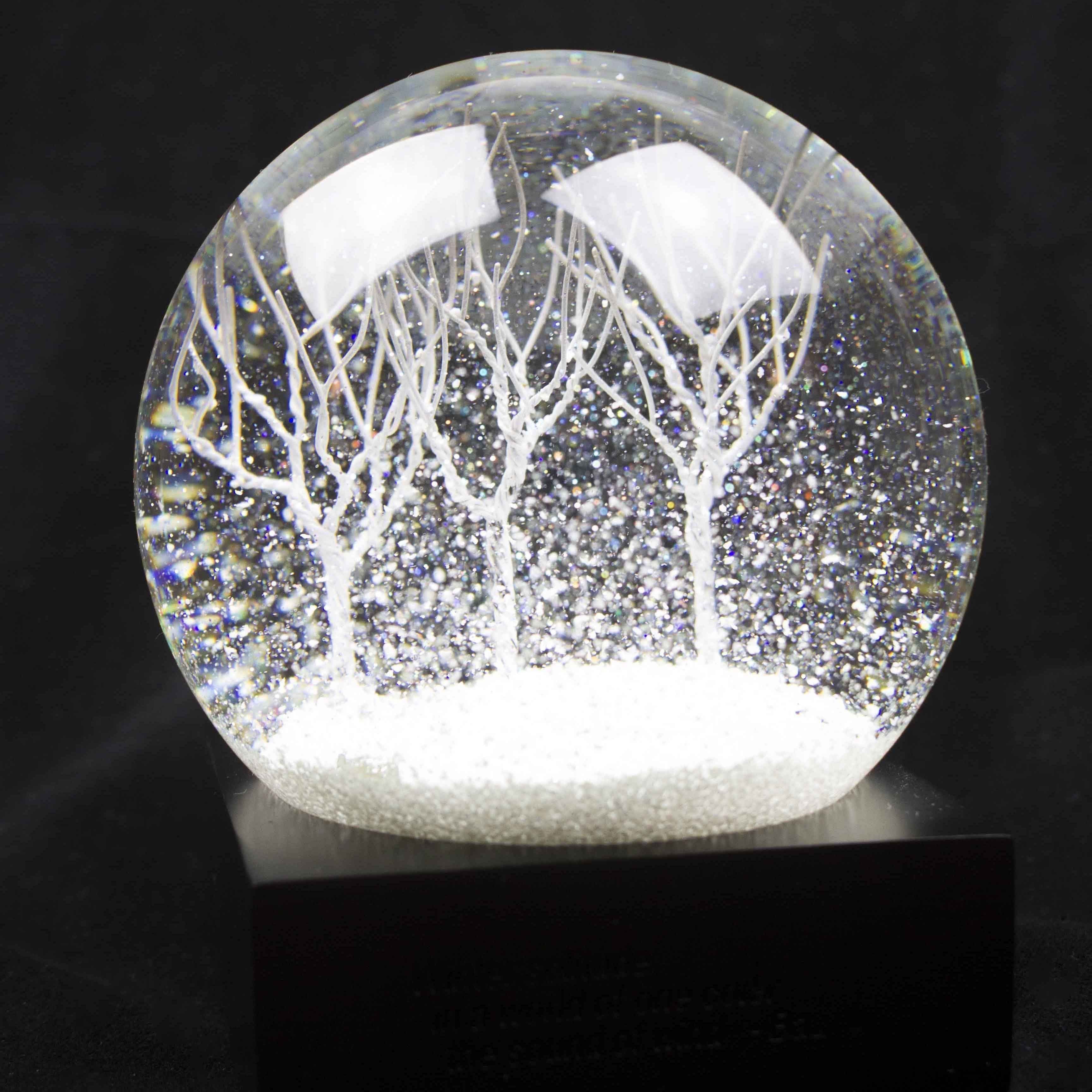 Cool Snow Globes Winter