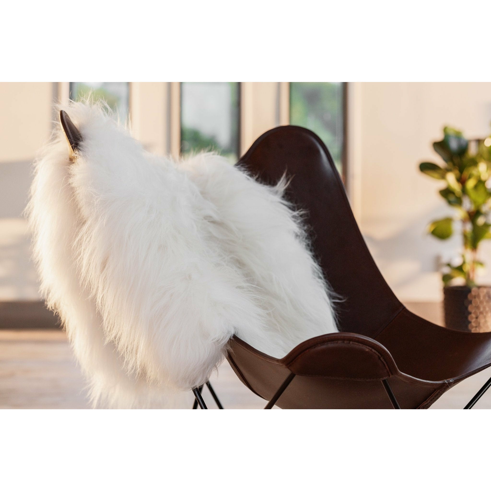 [product_category]-Cuero Icelandic Lambskin, White-Cuero-7340172620013-x33122-CUE-2