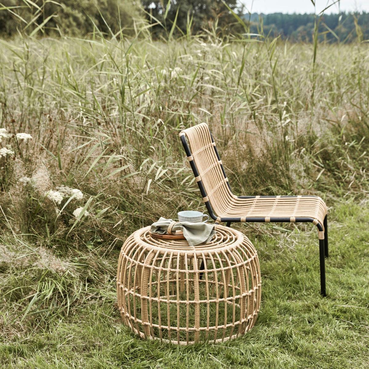 Mesa auxiliar del médico de la casa, hdloka, naturaleza