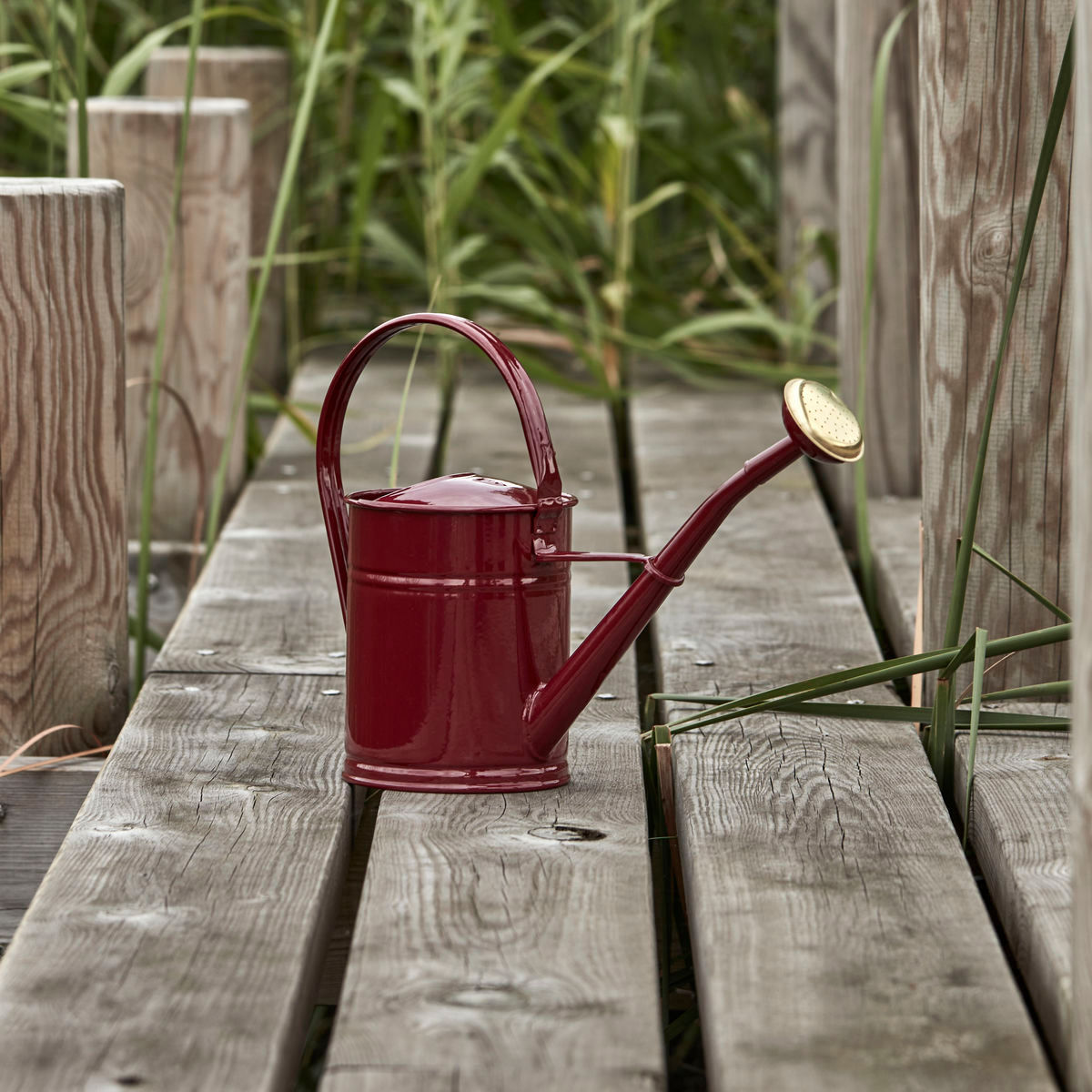 Huisarts Watering Can, Hdwan, Bourgondië