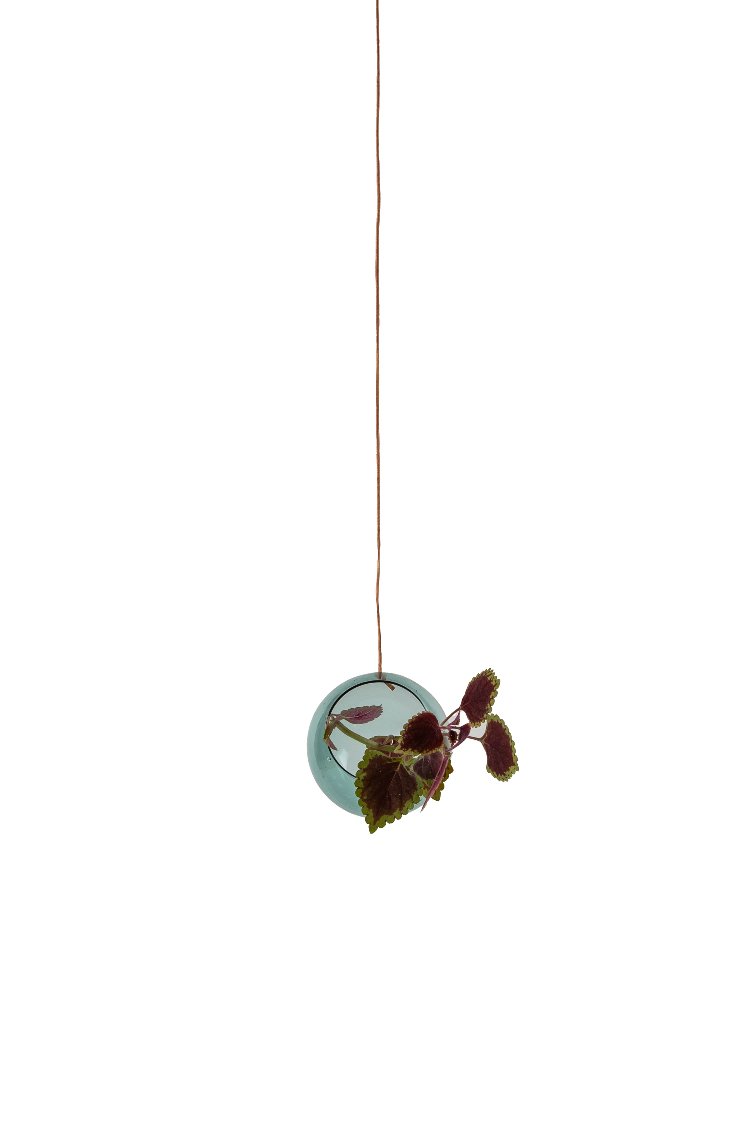 Studio über hängende Pflanzenblasenvase klein, Cyan