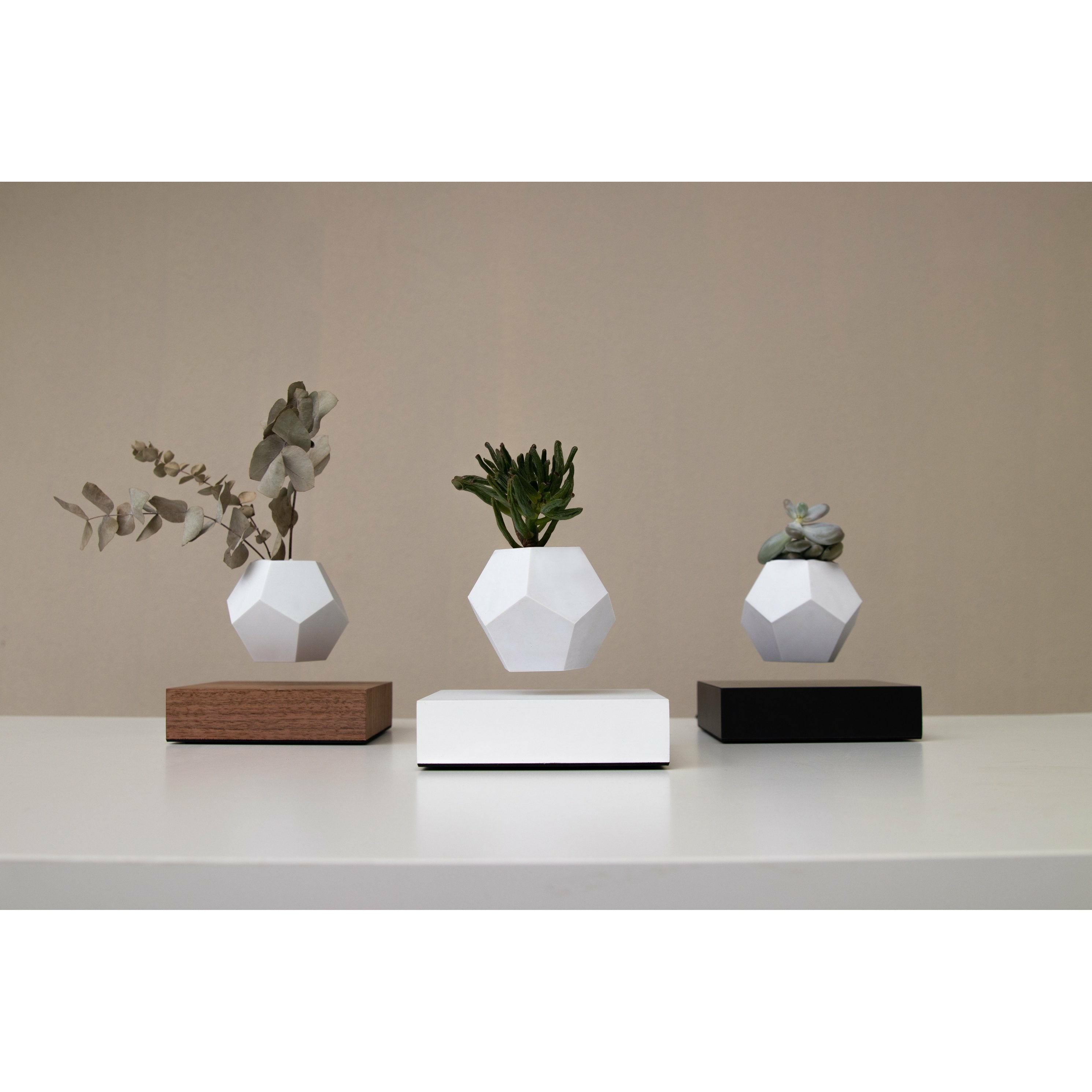 [product_category]-Flyte Lyfe Plant, Black-Flyte-5060455391714-01-LBLA-MUL-V1-0-FLY-4