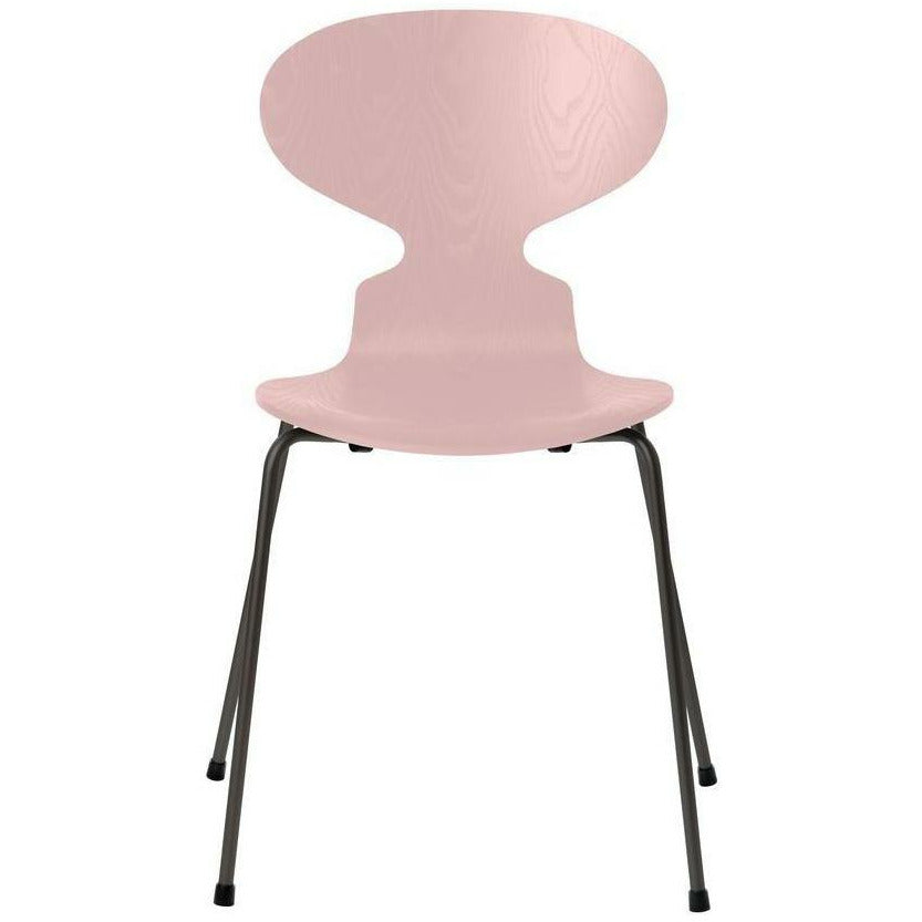 [product_category]-Fritz Hansen Ant Chair Dyed Ash Pale Rose Bowl, Warm Graphite Base-Fritz Hansen-3101-FARVET-PALE-WARM-FRI-1