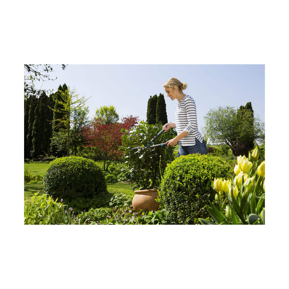 [product_category]-Hedge trimmer Gardena easycut 12301-20-Gardena-S7908219-5