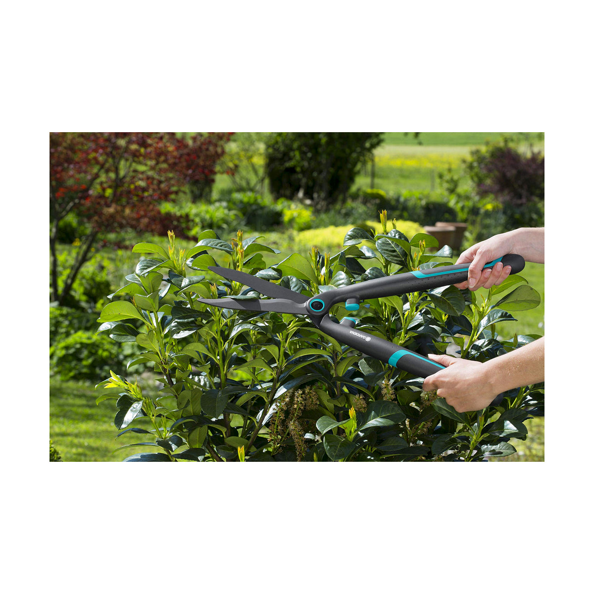 [product_category]-Hedge trimmer Gardena easycut 12301-20-Gardena-S7908219-7