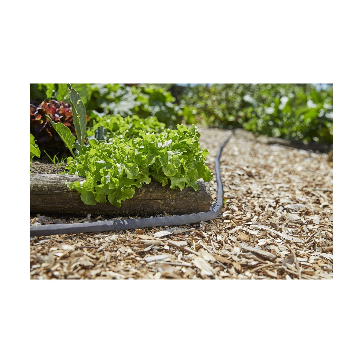[product_category]-Hose Gardena (15 m)-Gardena-S7910762-3