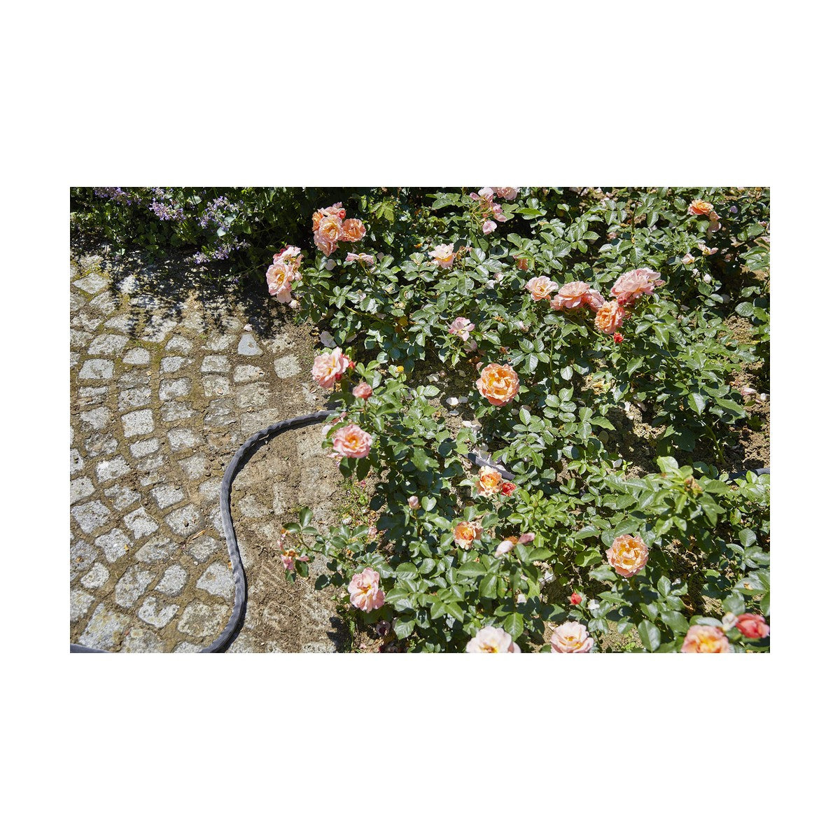 [product_category]-Hose Gardena (15 m)-Gardena-S7910762-5