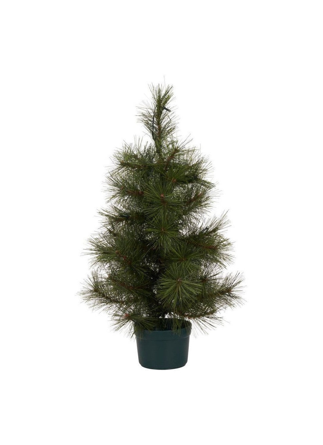 House Doctor Christmas Tree w. LED, HDPINUS, NATUR