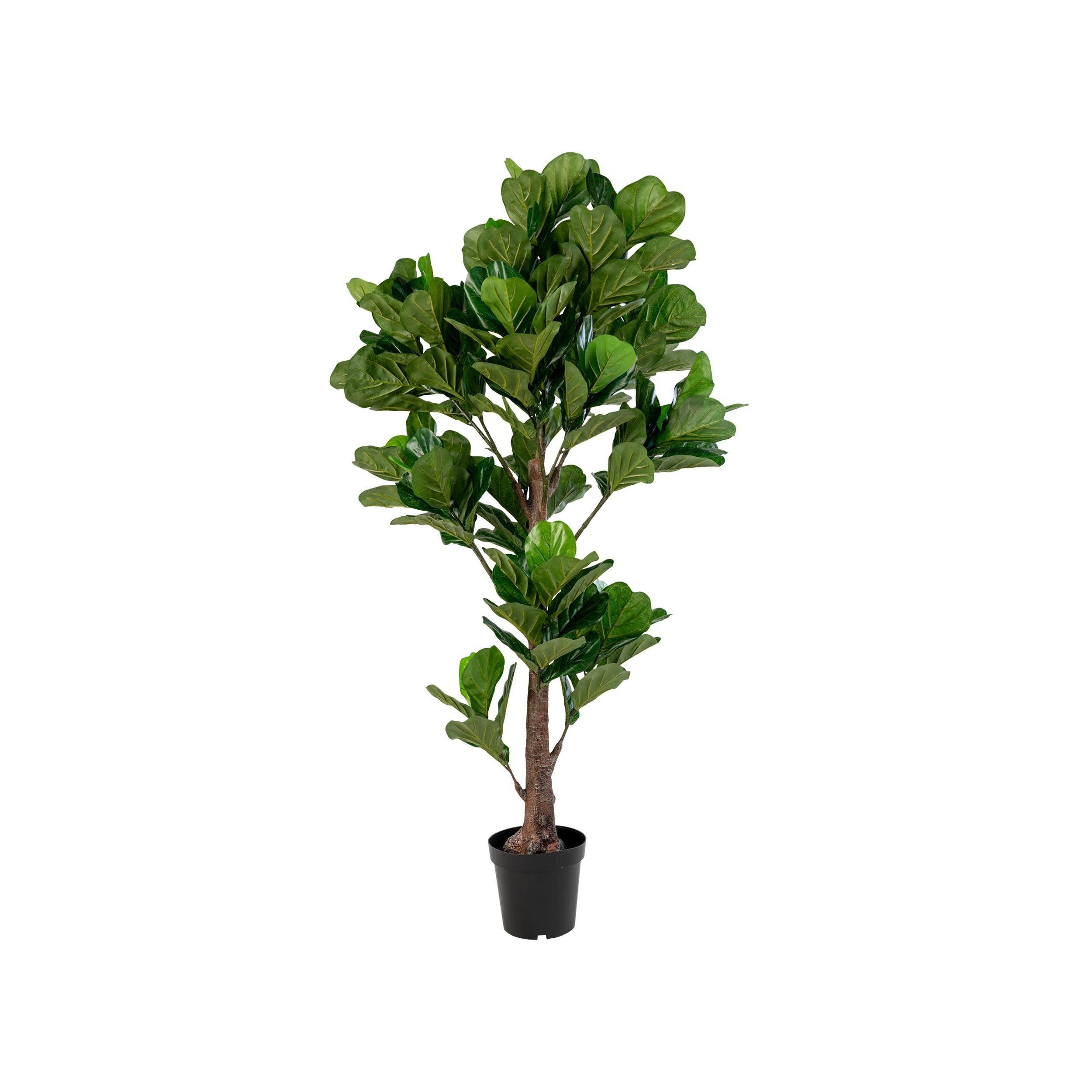 Huset Nordic Fiddle Leaf Tree