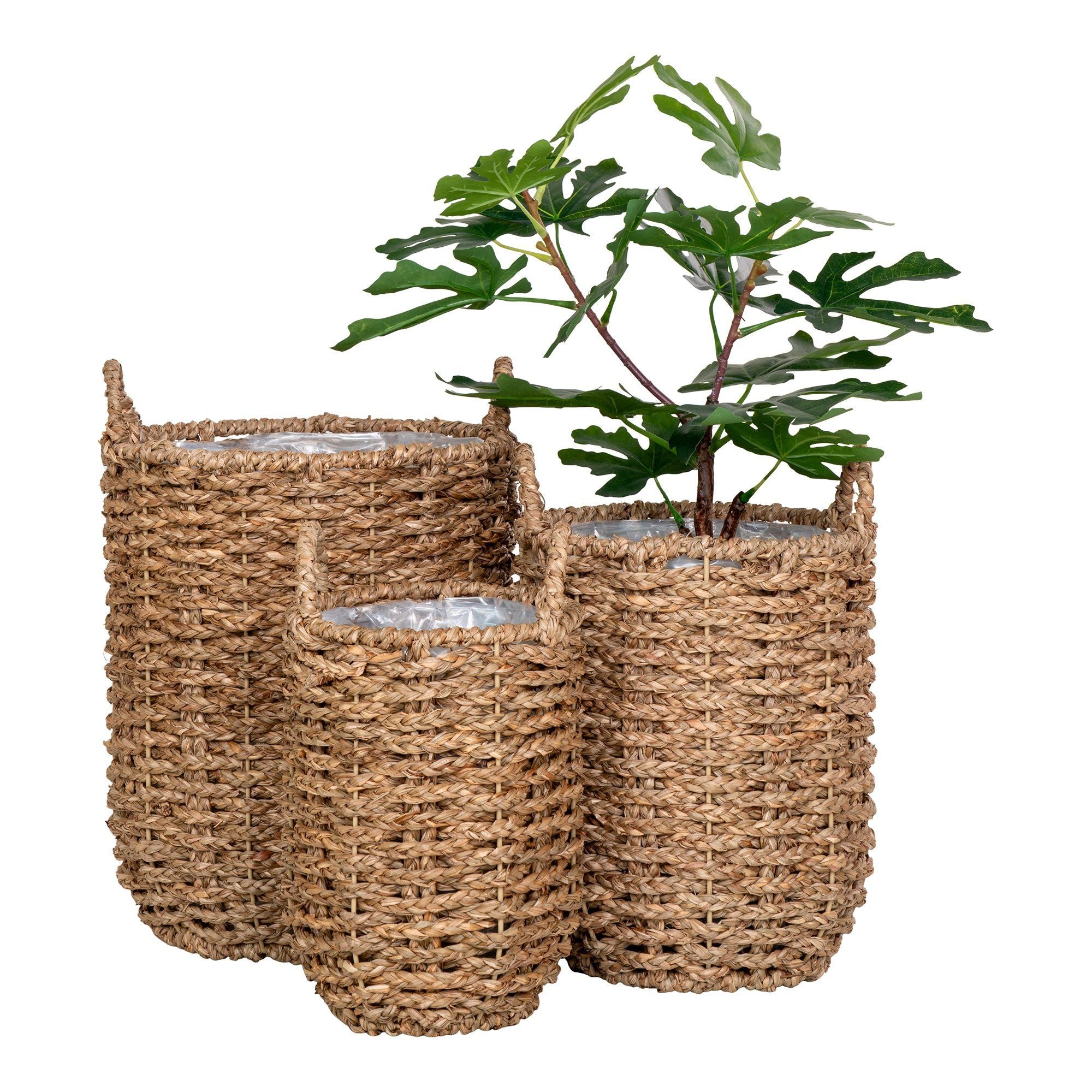 House Nordic Hue Baskets, Seagrass, Natural, Set Of 3