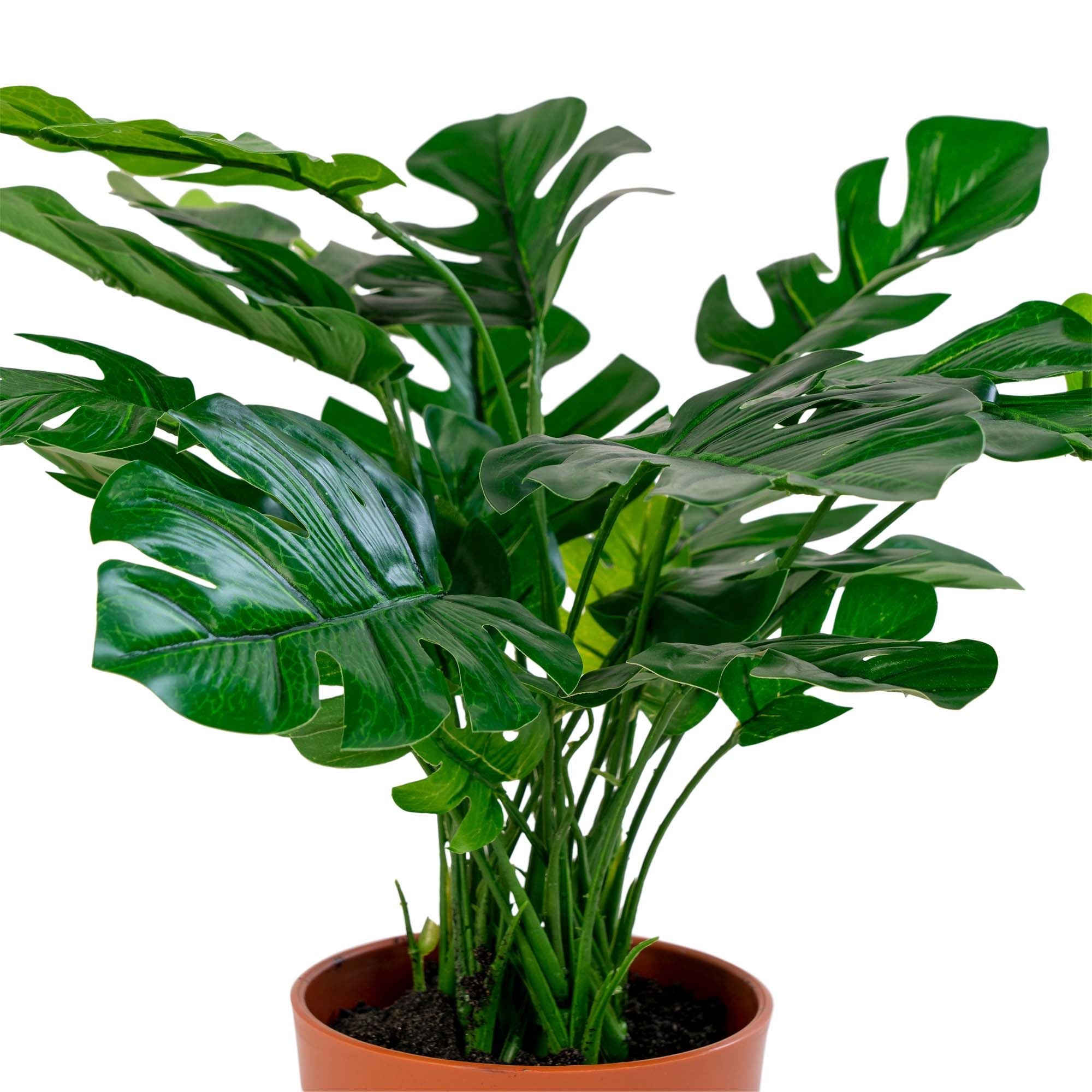 [product_category]-House Nordic Monstera-House Nordic-5713917004515-9501040-HOU-3