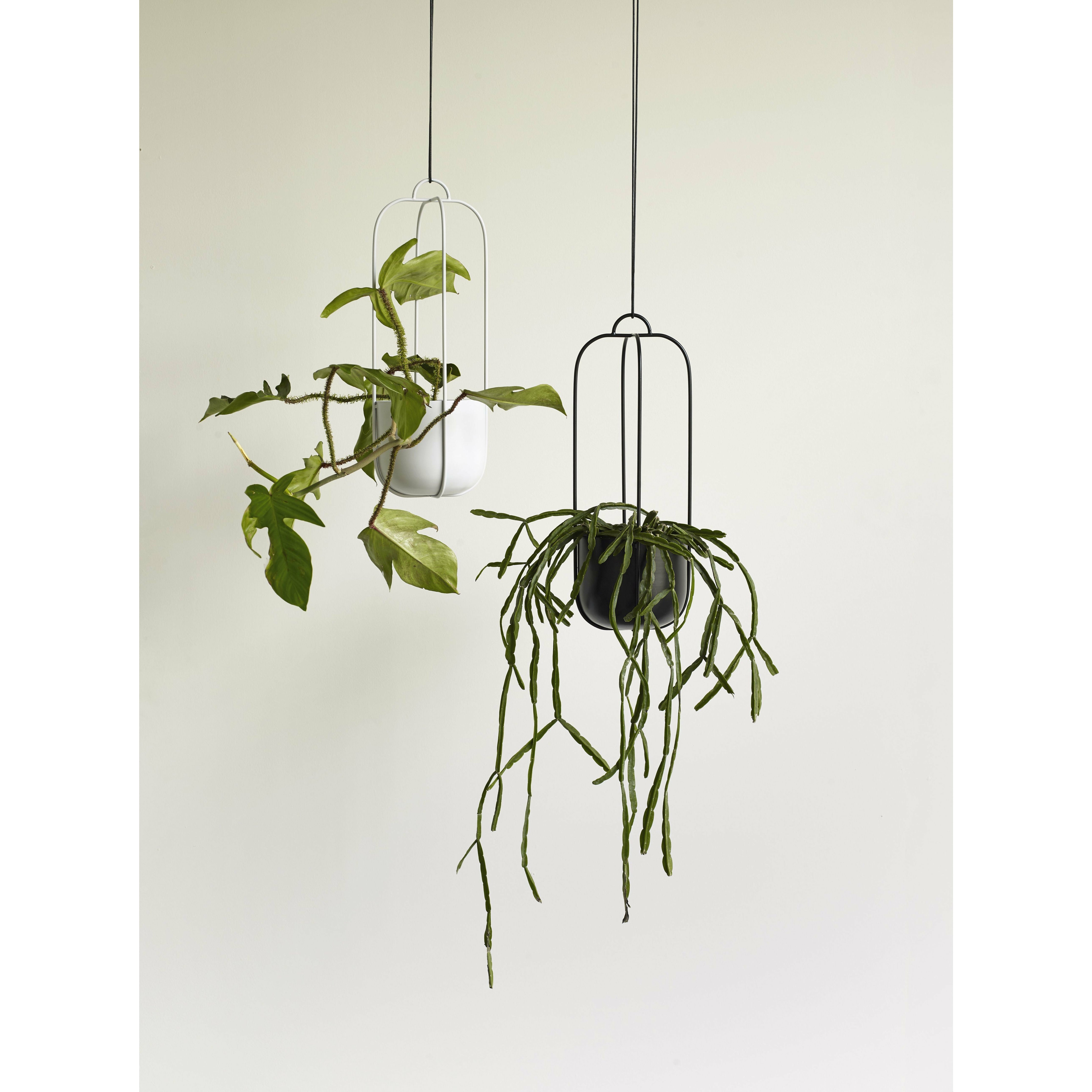 [product_category]-Hübsch Lotus Hanging Pots Set Of 2, Black-Hübsch-5712772068038-940802-HUB-2