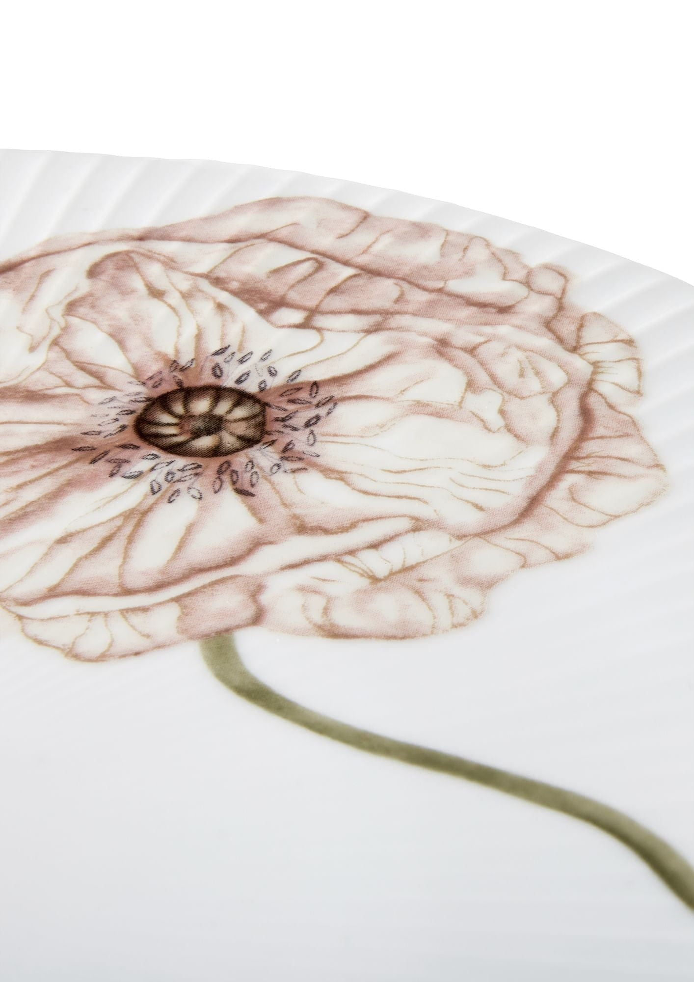 [product_category]-Kähler Hammershøi Poppy Cake Plate ø30 Cm, White With Decoration-Kähler-5703779186931-692267-KAH-3
