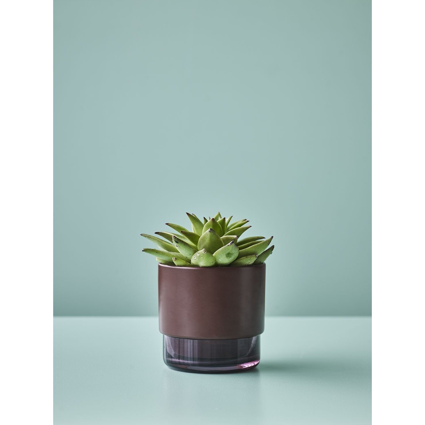 [product_category]-Lucie Kaas Gro Flowerpot Laurel Oak, 15cm-Lucie Kaas-5711542120150-GR01LOM-LUC-4