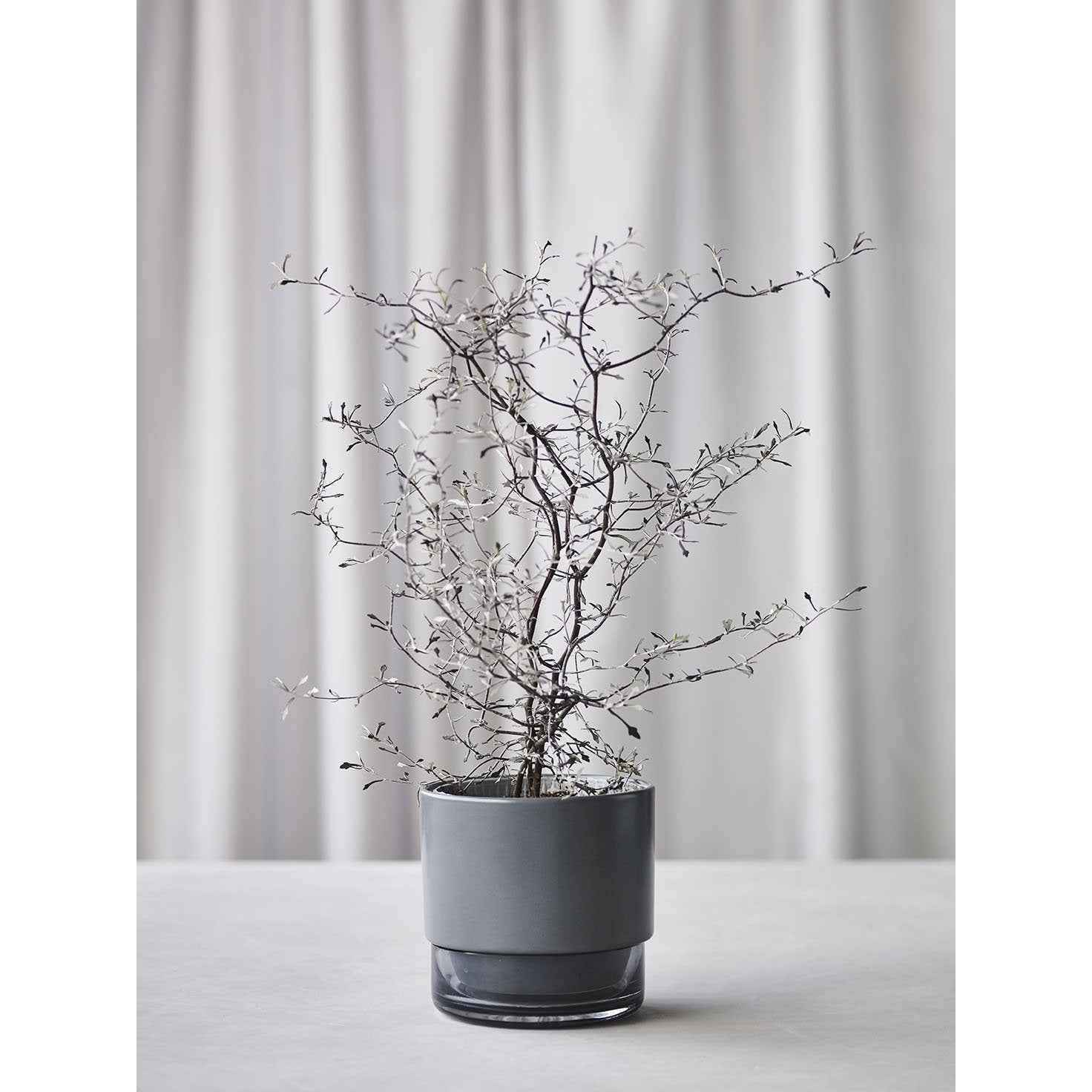 [product_category]-Lucie Kaas Gro Flowerpot Laurel Oak, 15cm-Lucie Kaas-5711542120150-GR01LOM-LUC-5