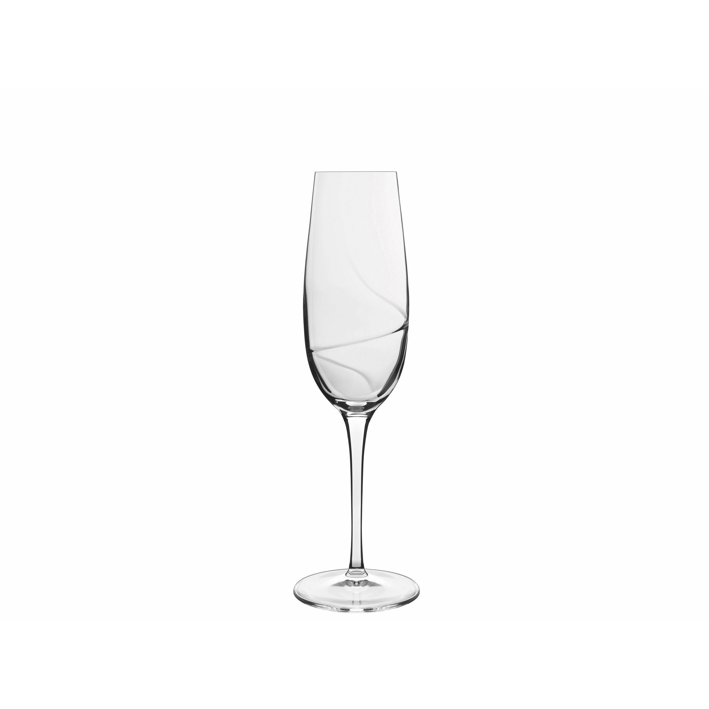 Luigi Borlioli Aero Champagne Glass, ensemble de 6