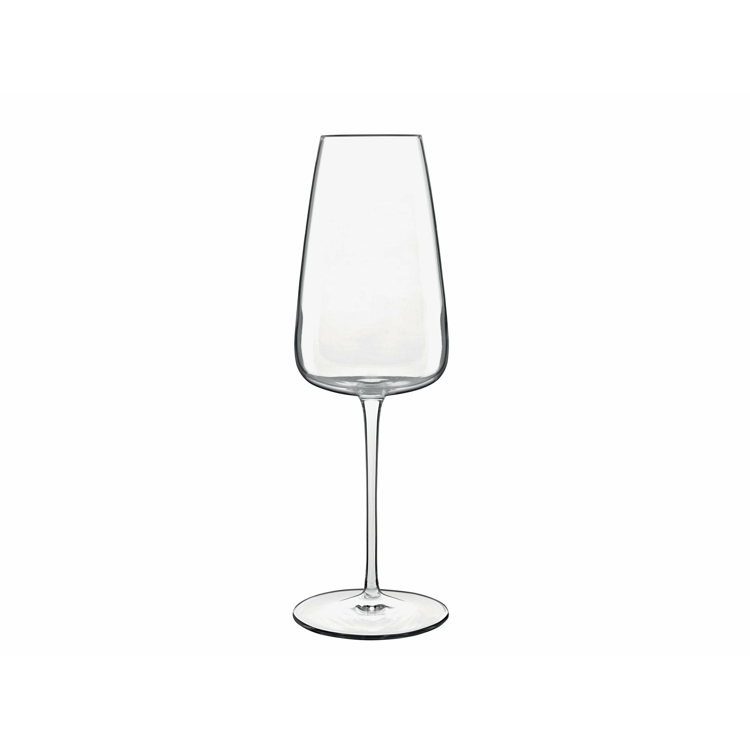 Luigi Bormioli talismano champagne glas, 2 stycken