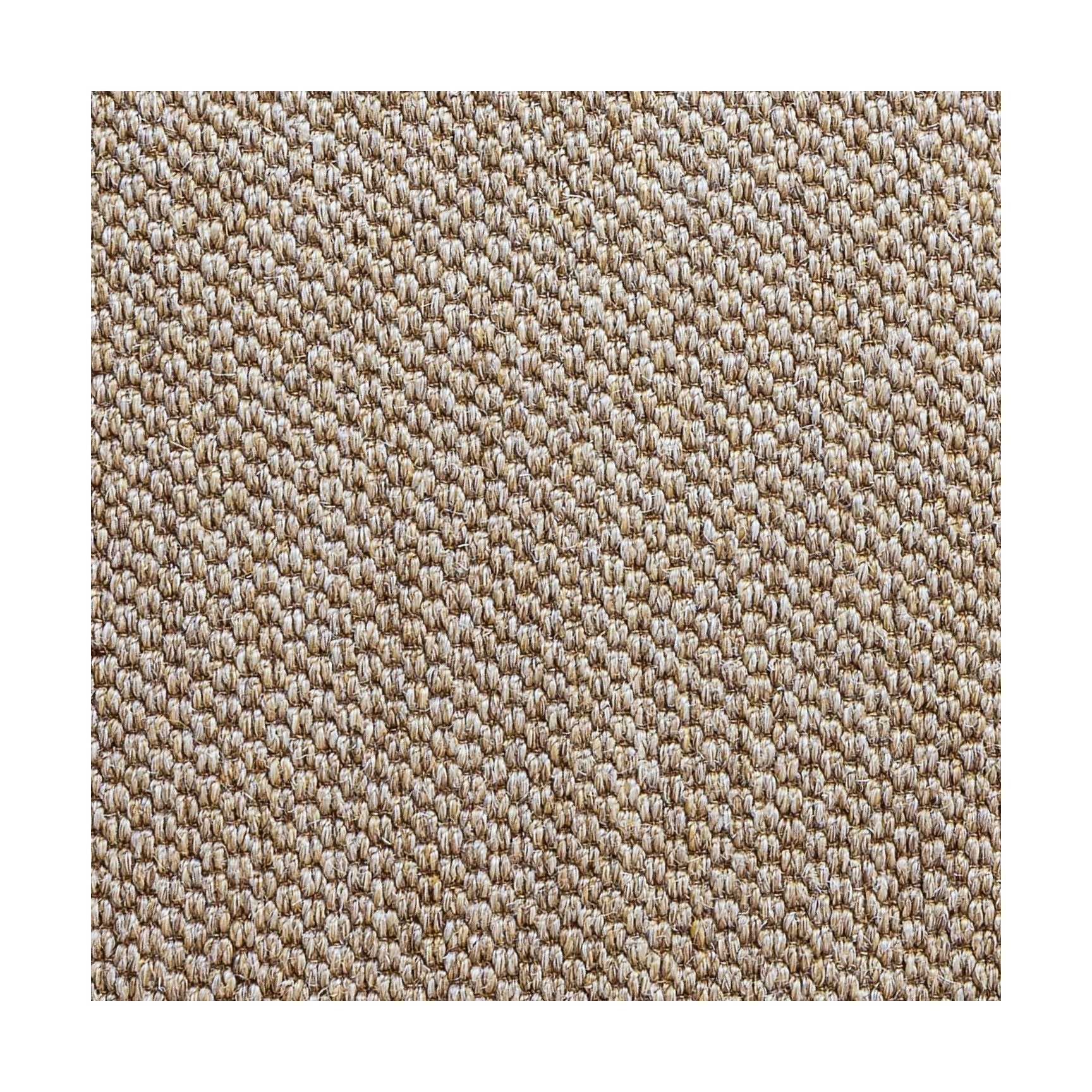 [product_category]-Massimo Belize Rug 240x320, Natural Brown-Massimo-5710080051216-1001705121-MAS-1