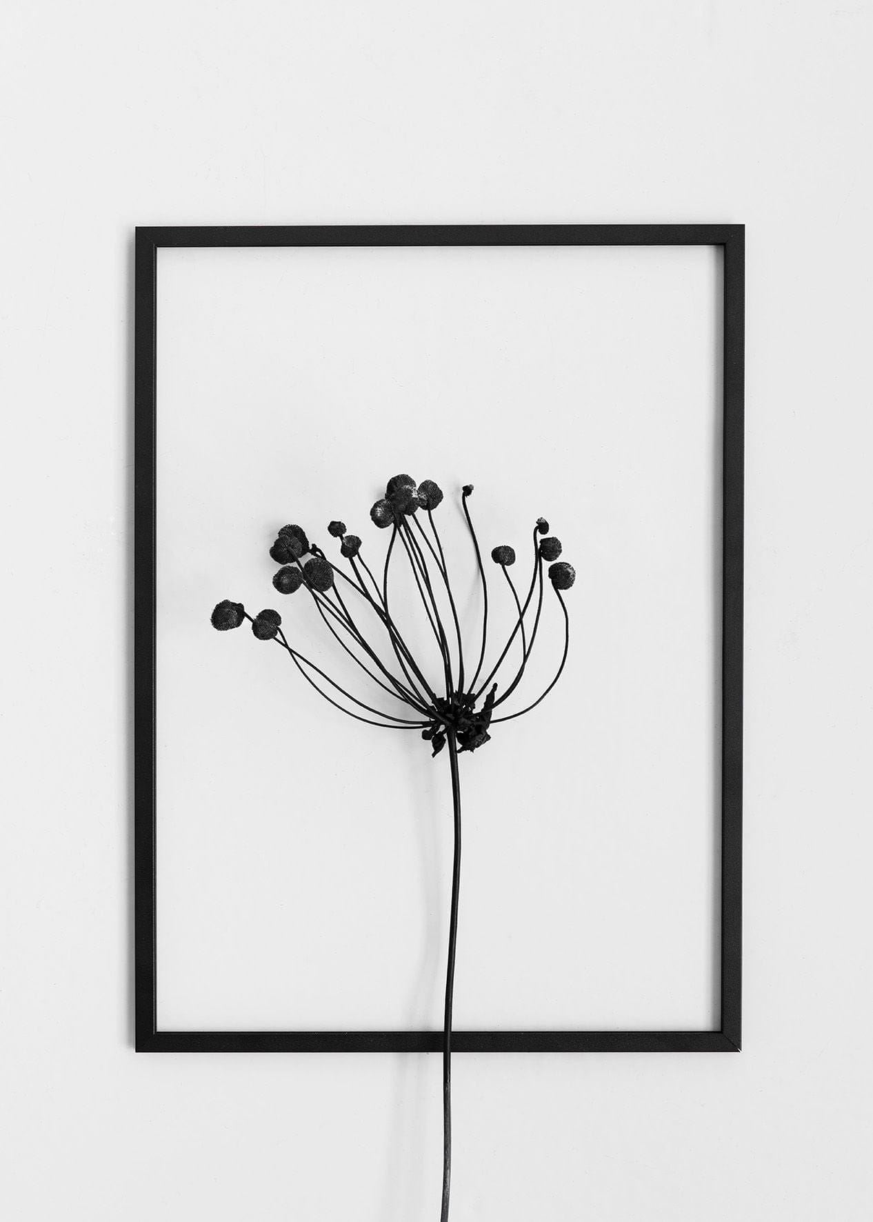 [product_category]-Moebe Frame 40x50 Cm, Black-Moebe-FAB40X50-MOE-8