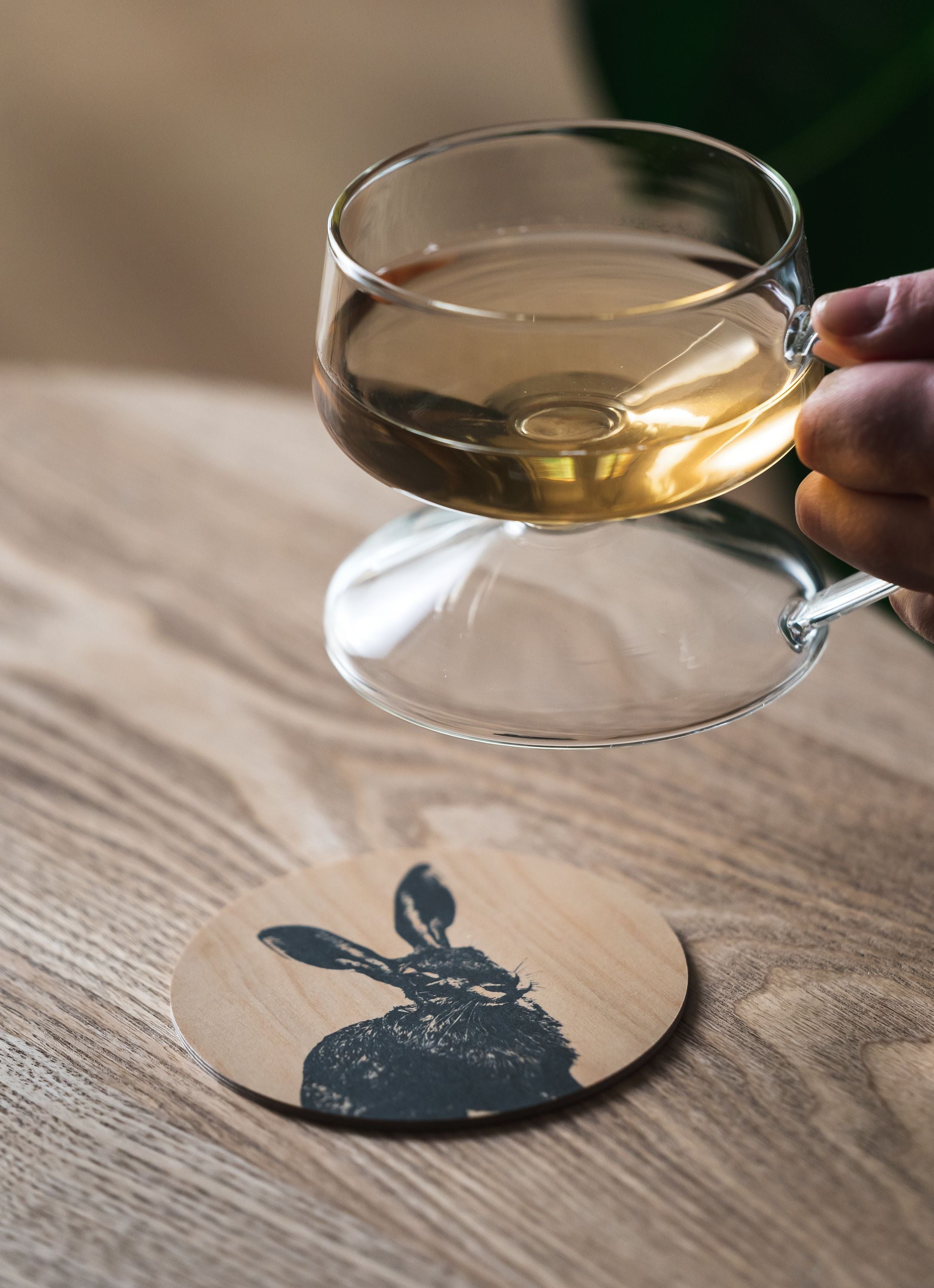 Muurla Coaster, The Hare