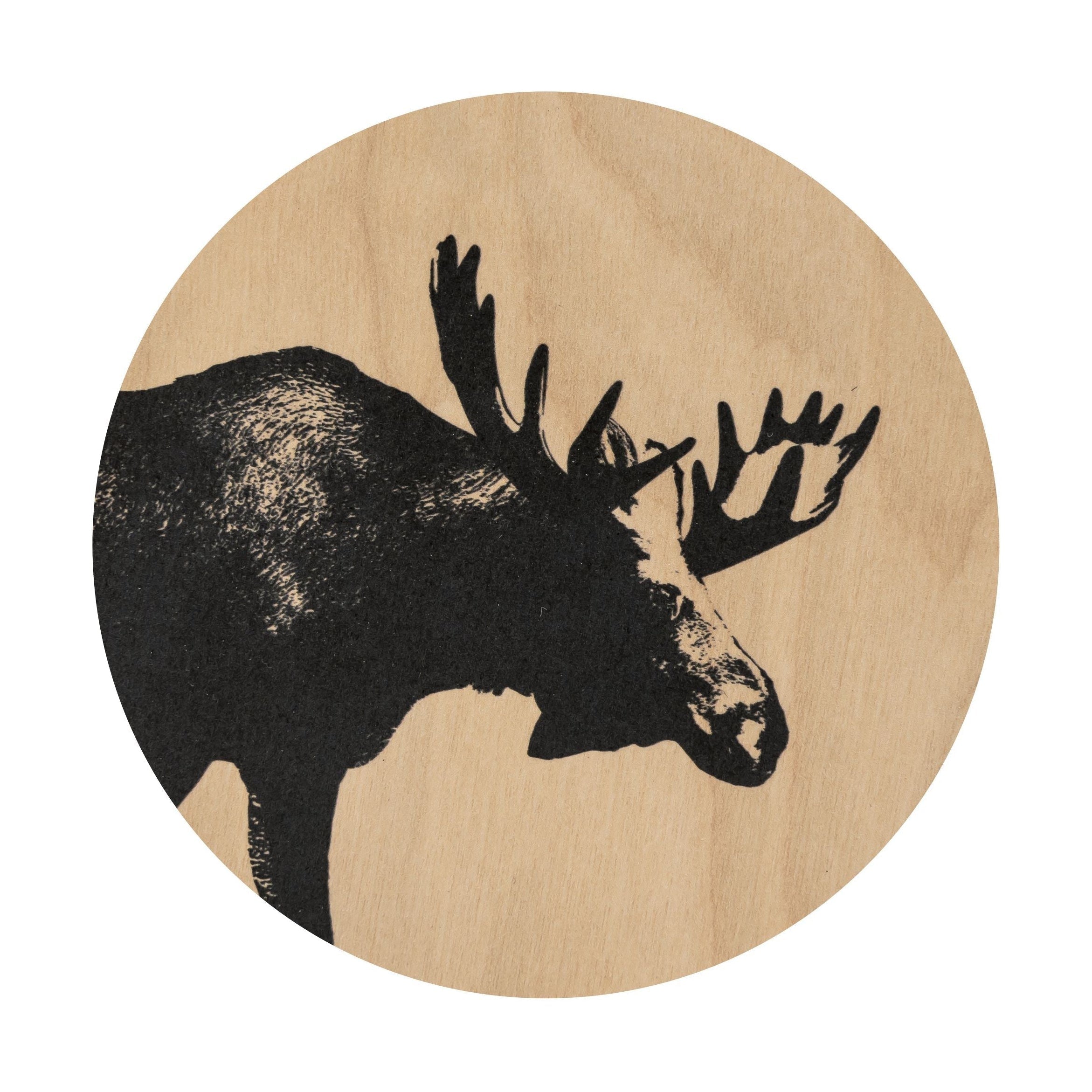 [product_category]-Muurla Coaster, The Moose-Muurla-6416114965977-2330-010-04-MUU-1