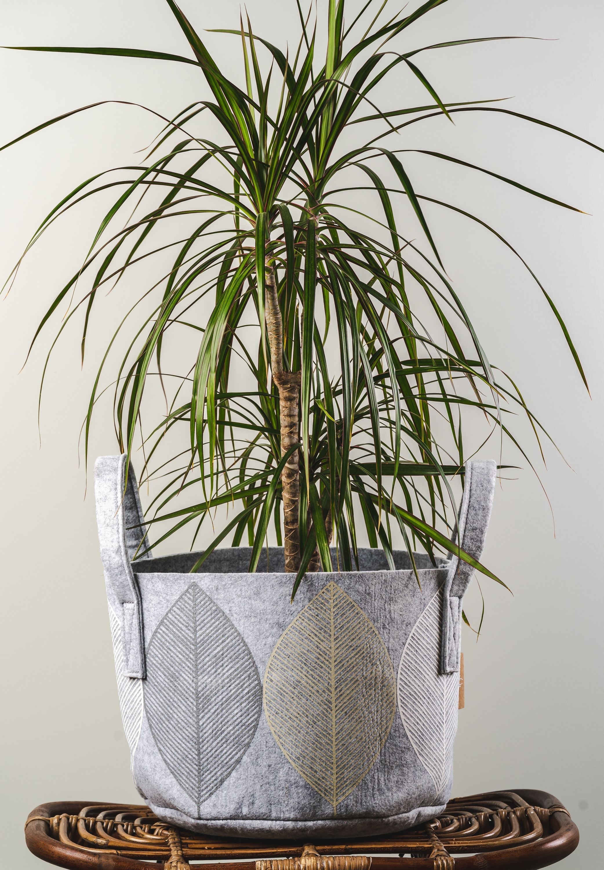 [product_category]-Muurla Storage Basket Leaf, Light Grey-Muurla-6416114965274-32-170-02-MUU-6