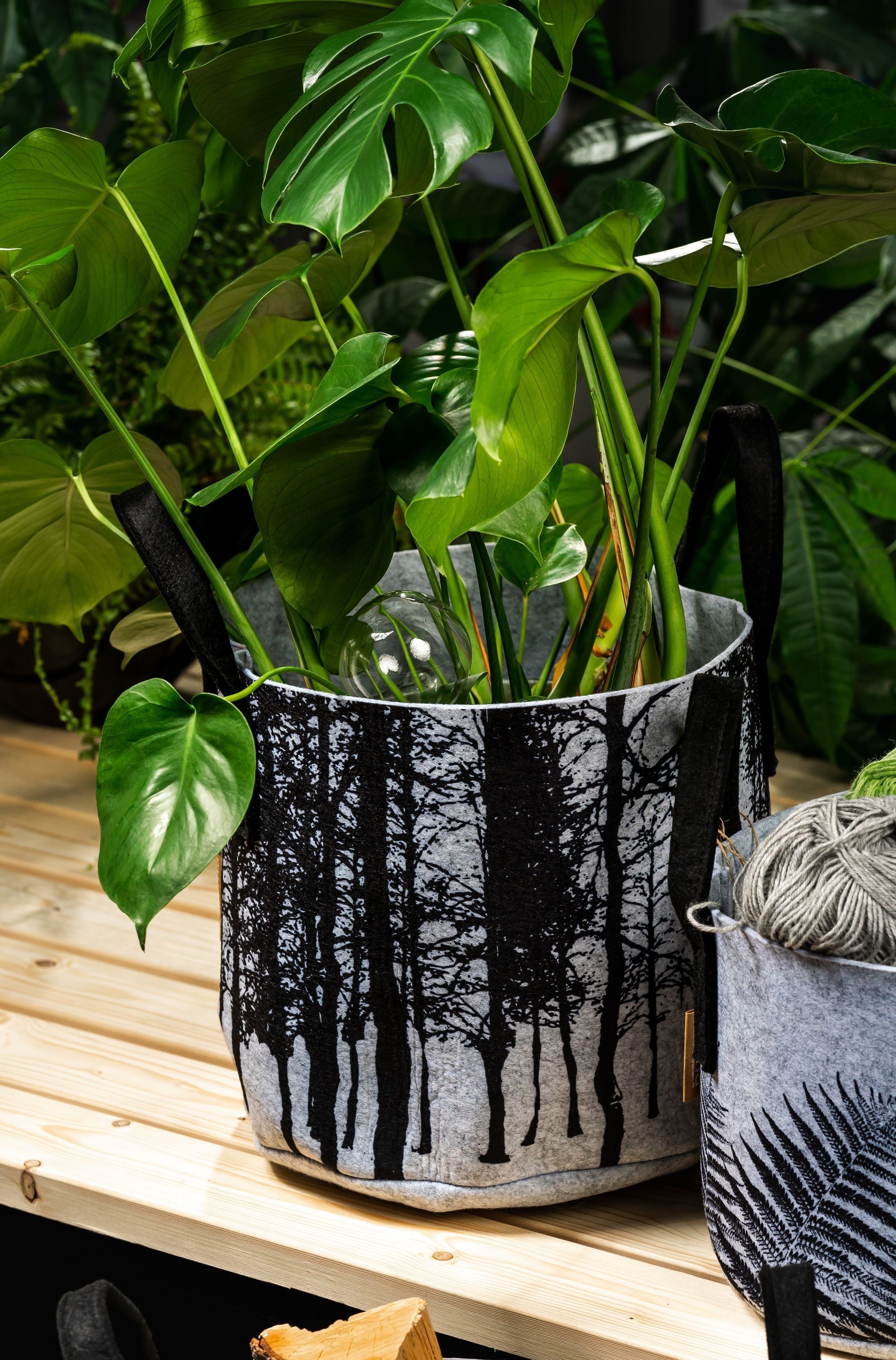 [product_category]-Muurla Storage Basket, The Forest-Muurla-6416114962402-33-300-02-MUU-2