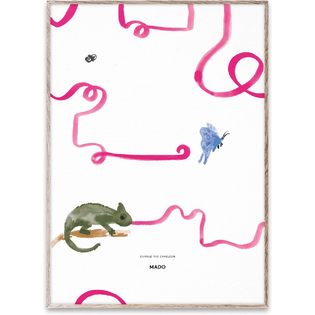 Collectif de papier Charlie The Chameleon Affiche, 50x70 cm