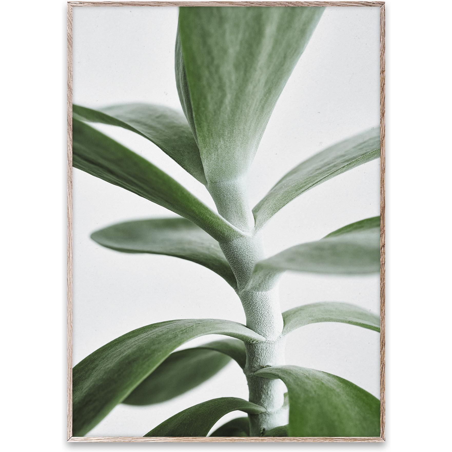 [product_category]-Paper Collective Green Home 04 Poster, 50x70 Cm-Paper Collective-5713450004614-09110-PAP-1