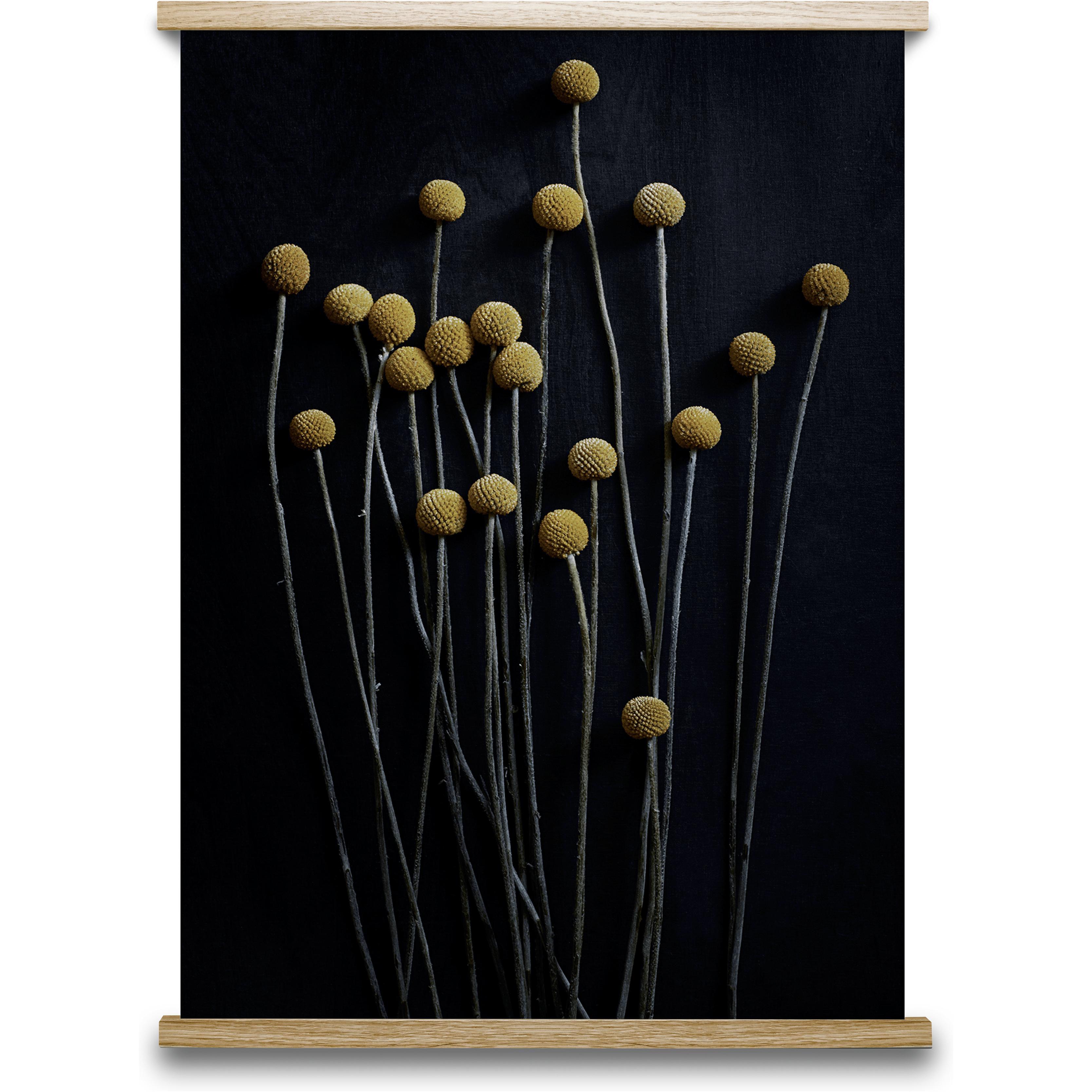 [product_category]-Paper Collective Still Life 01 Poster, 30x40 Cm-Paper Collective-5713450002498-7101-PAP-1