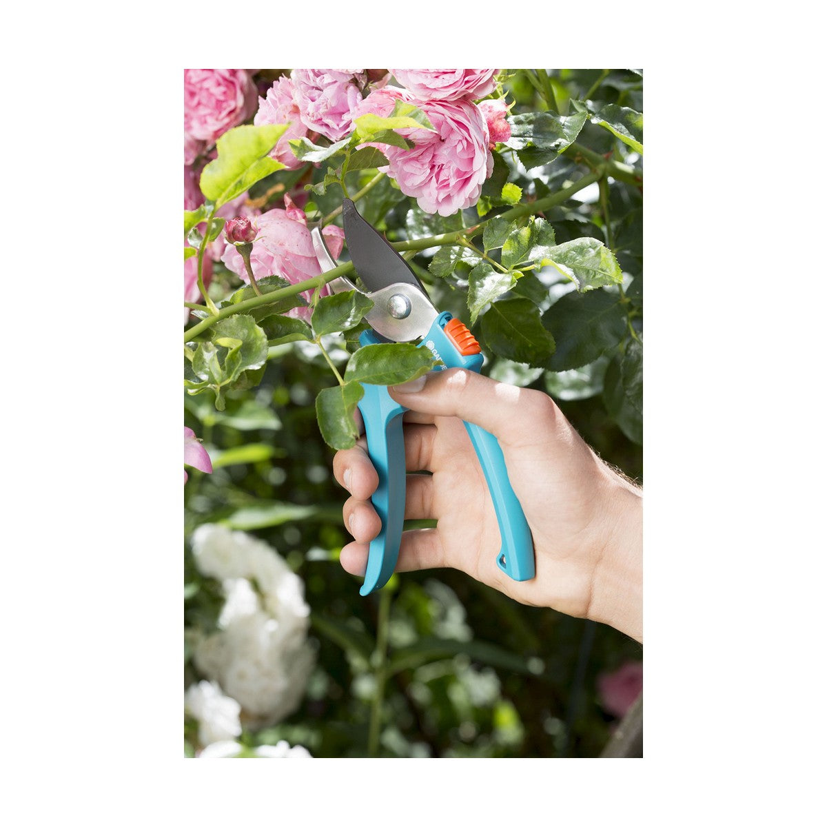 [product_category]-Pruning Shears Gardena 8754-30 18 mm-Gardena-S7908215-7
