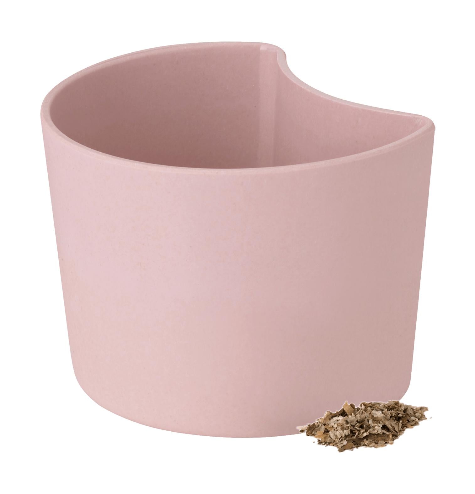 [product_category]-Rig Tig Your Tree Flower Pots With Seeds, Pink-Rig-Tig-5709846025806-Z00136-2-RIG-1