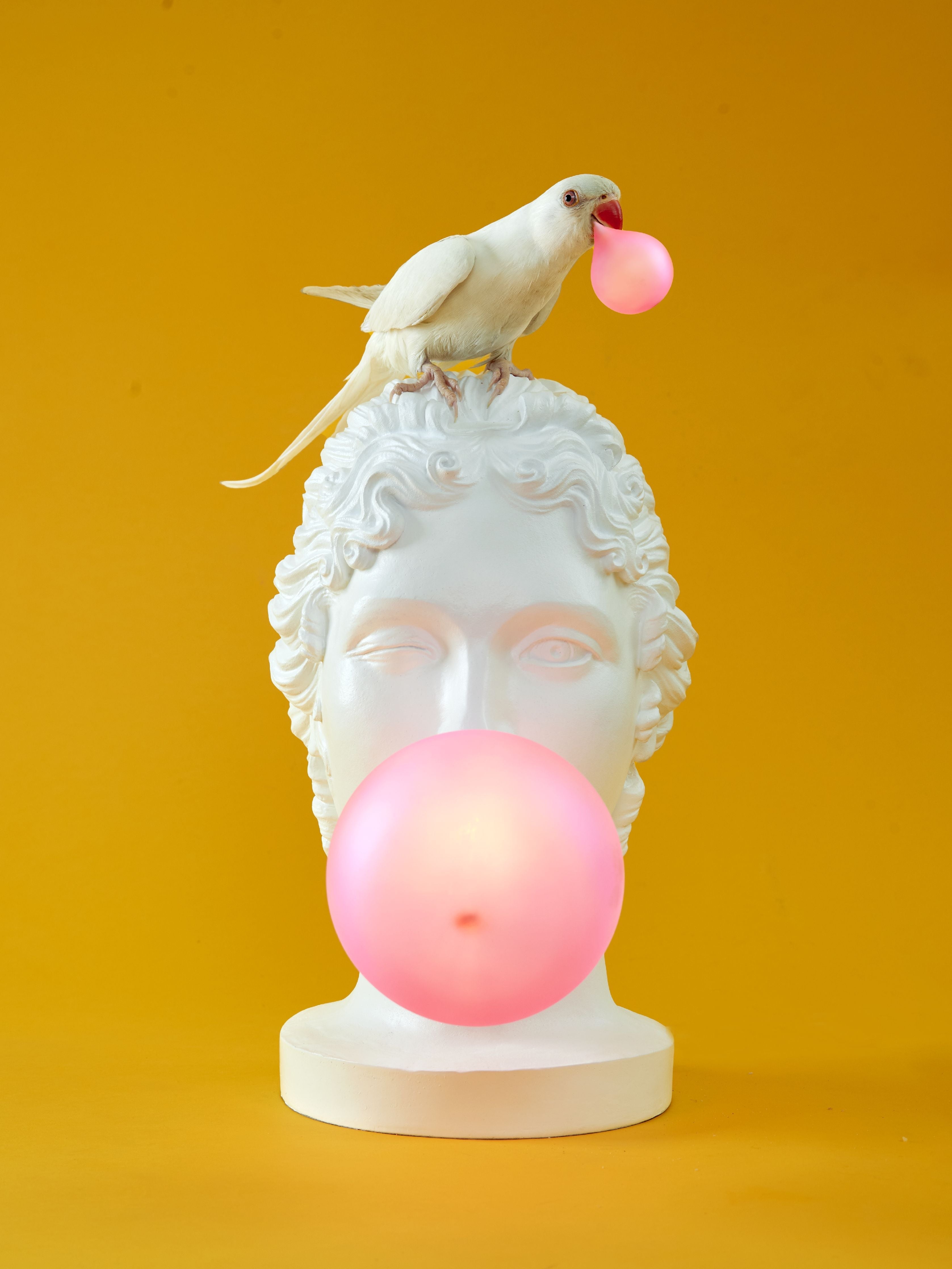 Seletti Grace Lamp