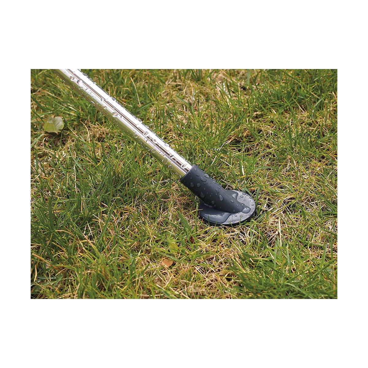 [product_category]-Shower Mount Aqua Control Blue Bird Garden-Bigbuy-S7904806-2