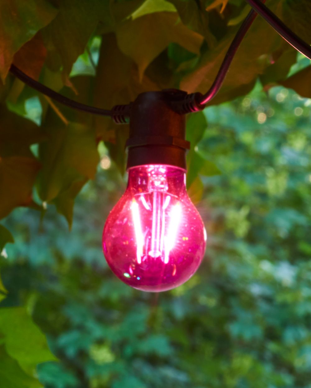 [product_category]-Sirius Tobias Sparebulb, Purple-Sirius-5707310695265-69526-SIR-2