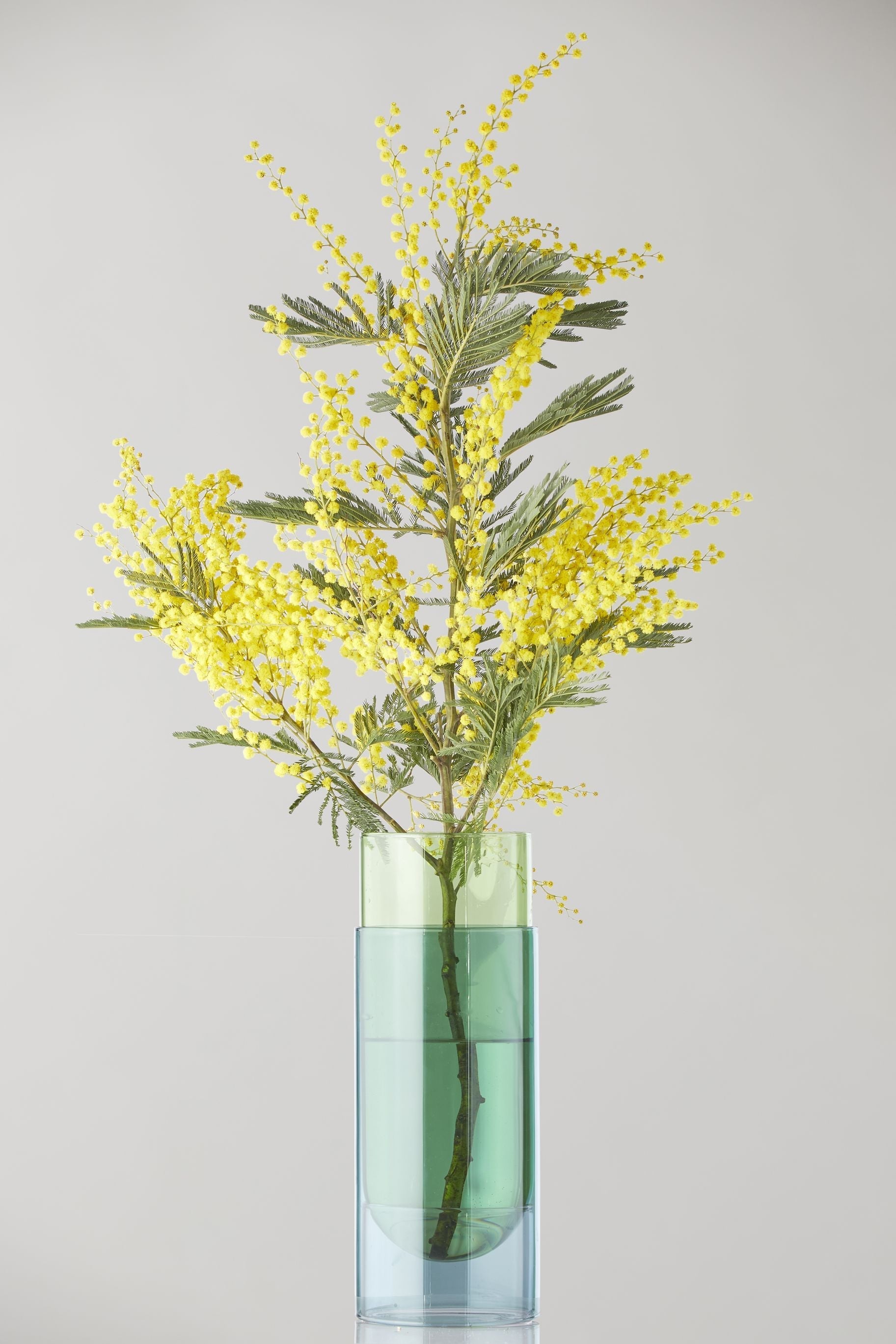 Studio About Bouquet Tube Vase, Green